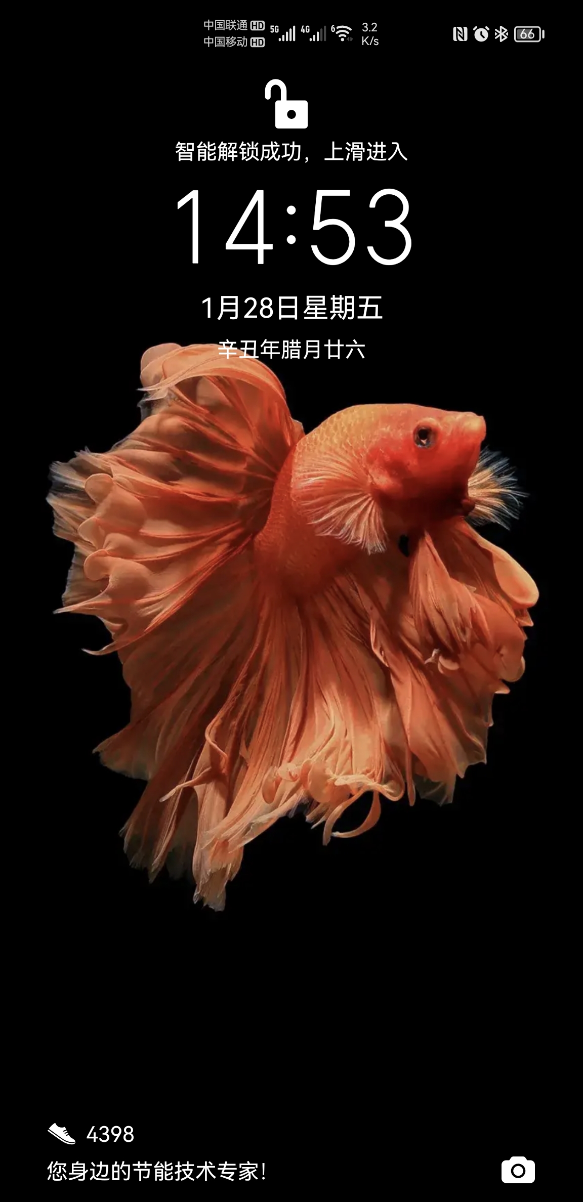 Screenshot_20220128_145338.jpg