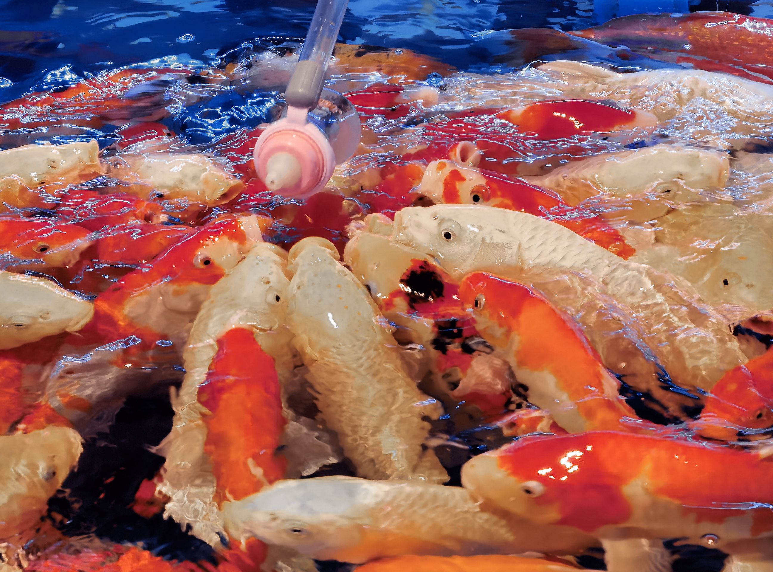 IMG_20220127_203625_polarr.jpg