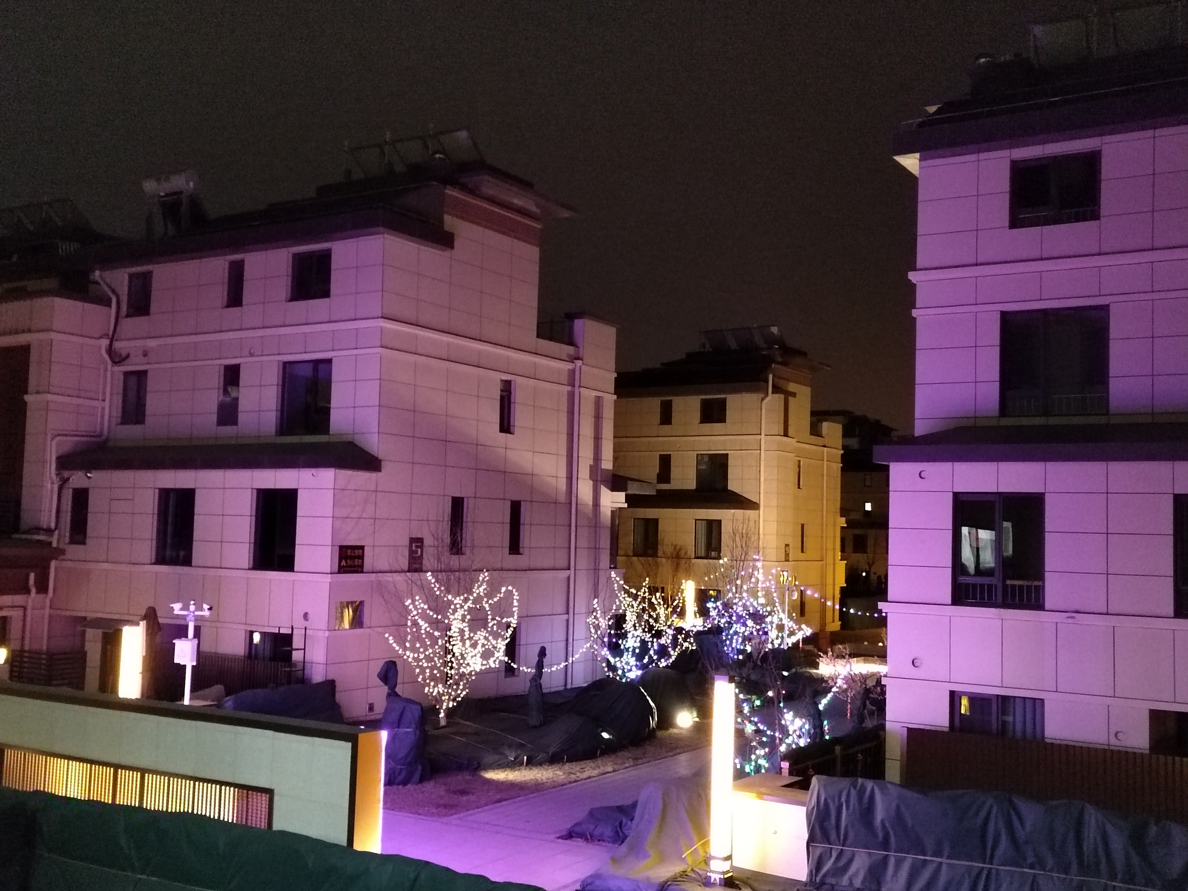 IMG_20220119_184346.jpg