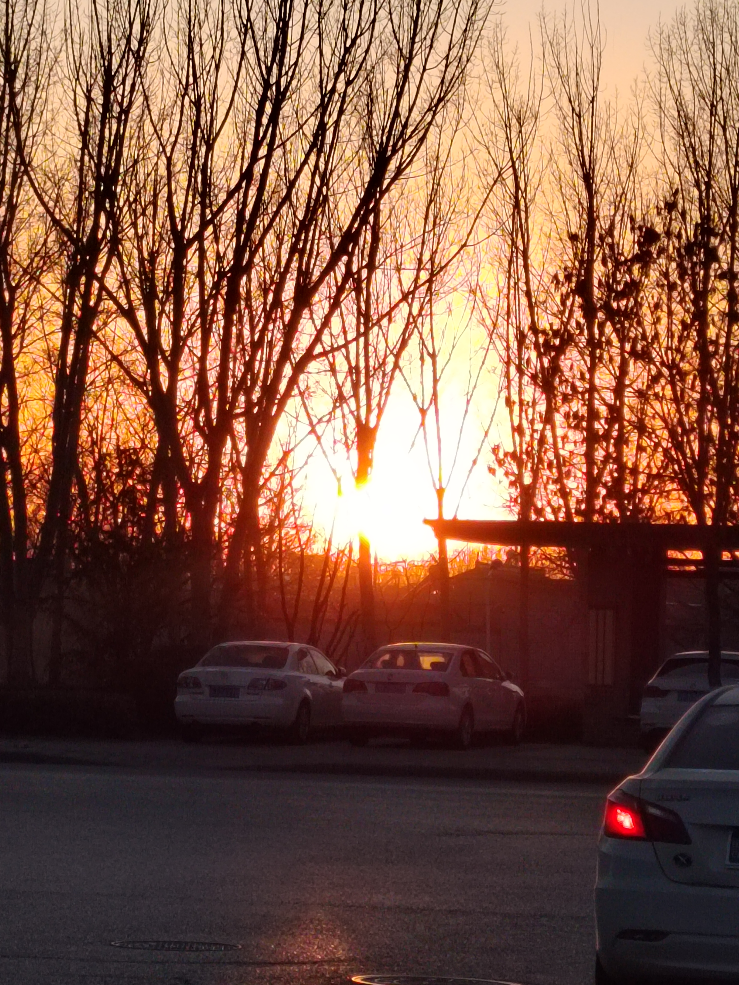 IMG_20220112_165831.jpg