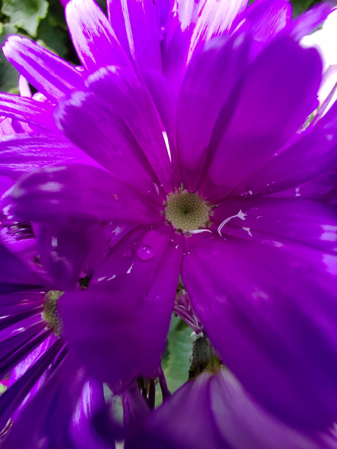 IMG_20220129_130710.jpg