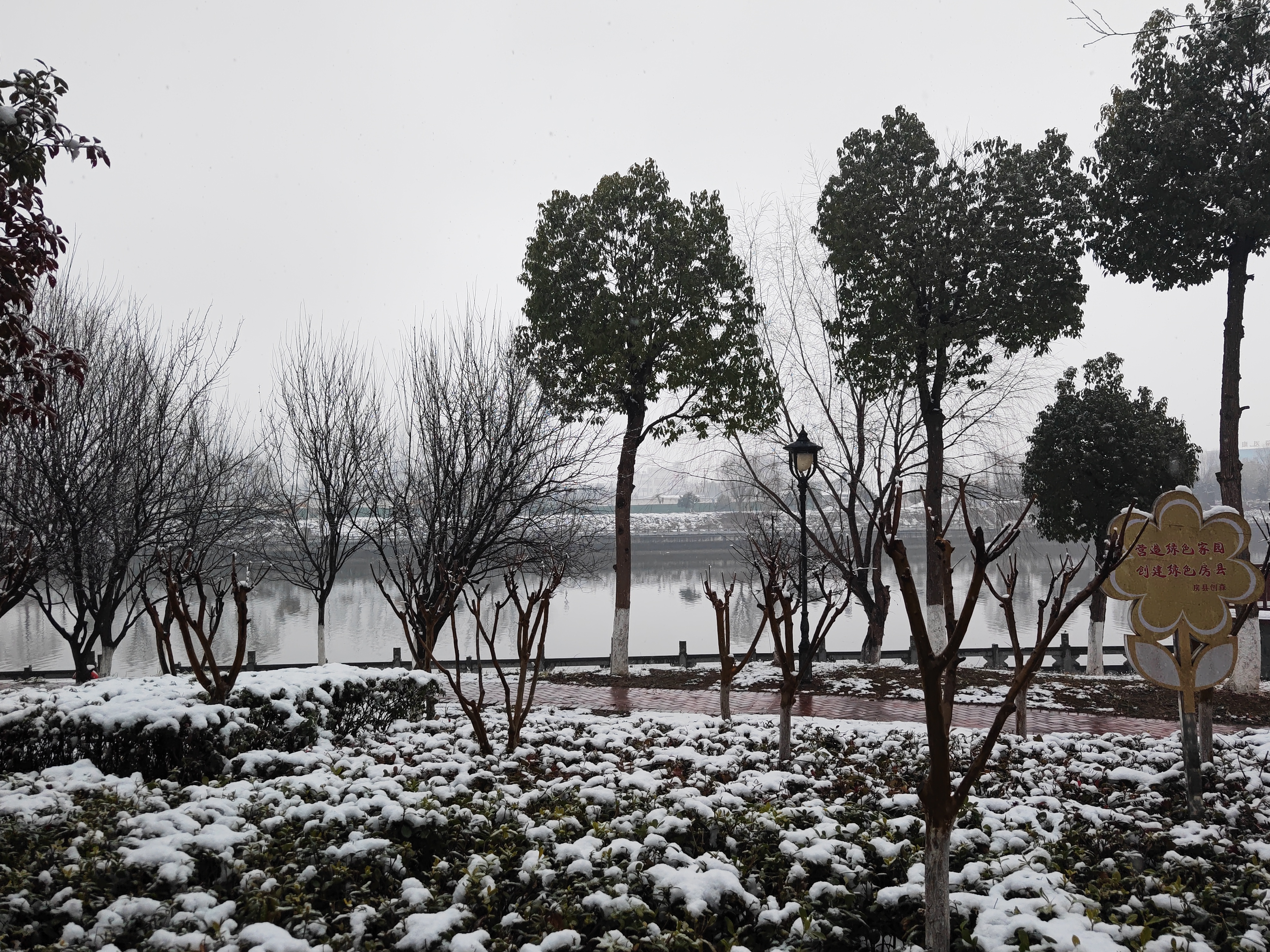 IMG_20220128_165002.jpg