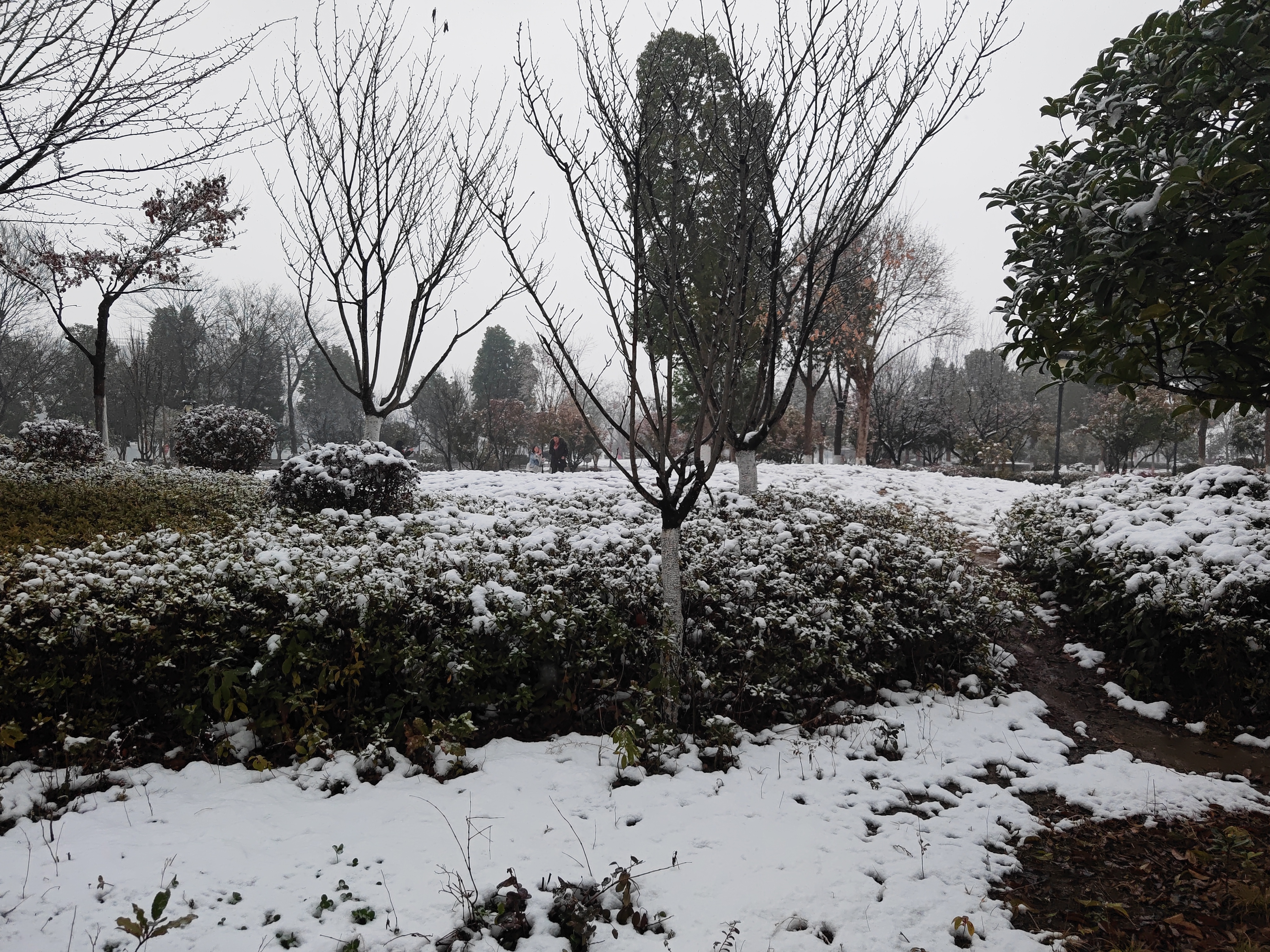 IMG_20220128_164453.jpg