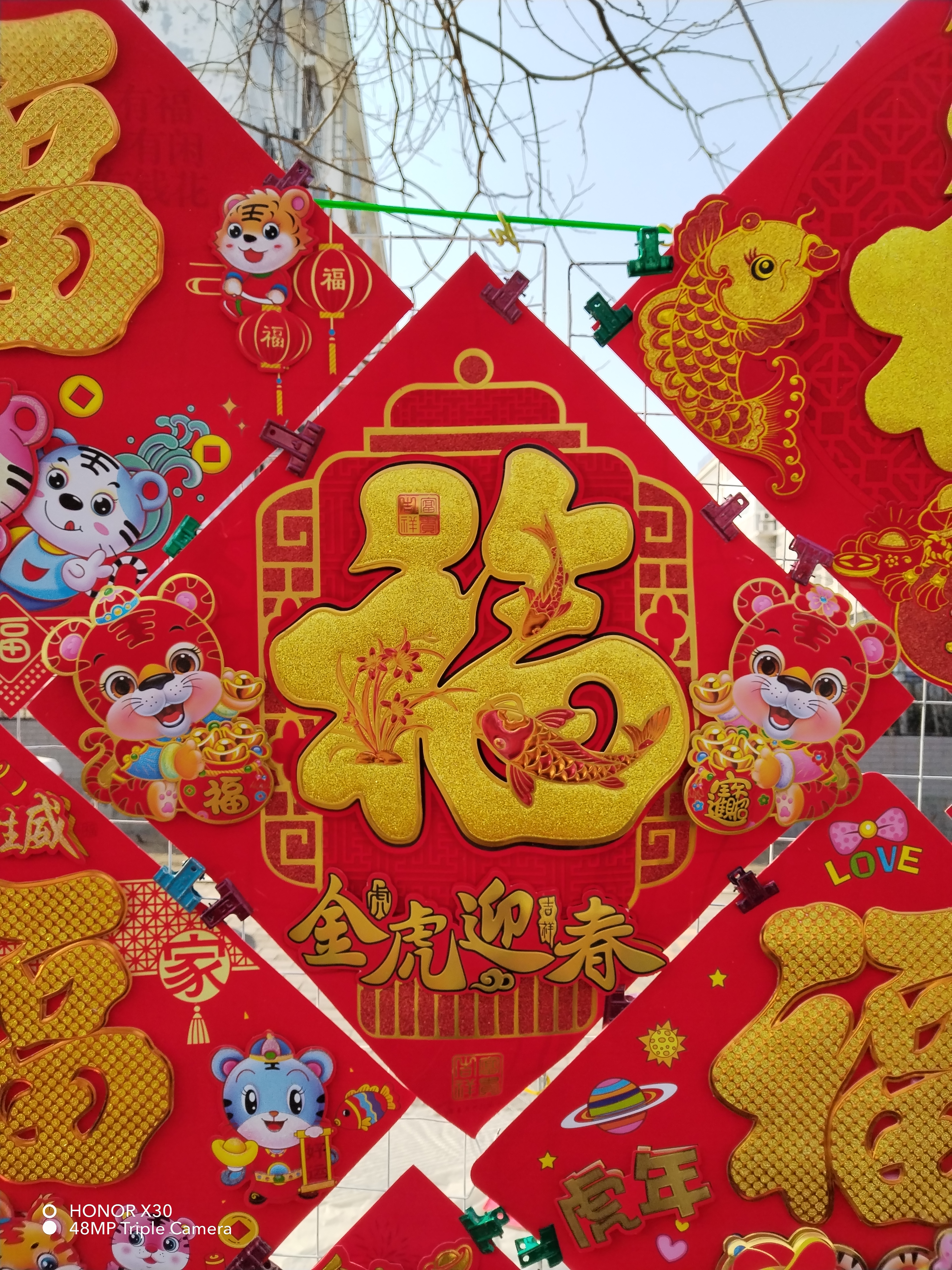 IMG_20220129_132822.jpg