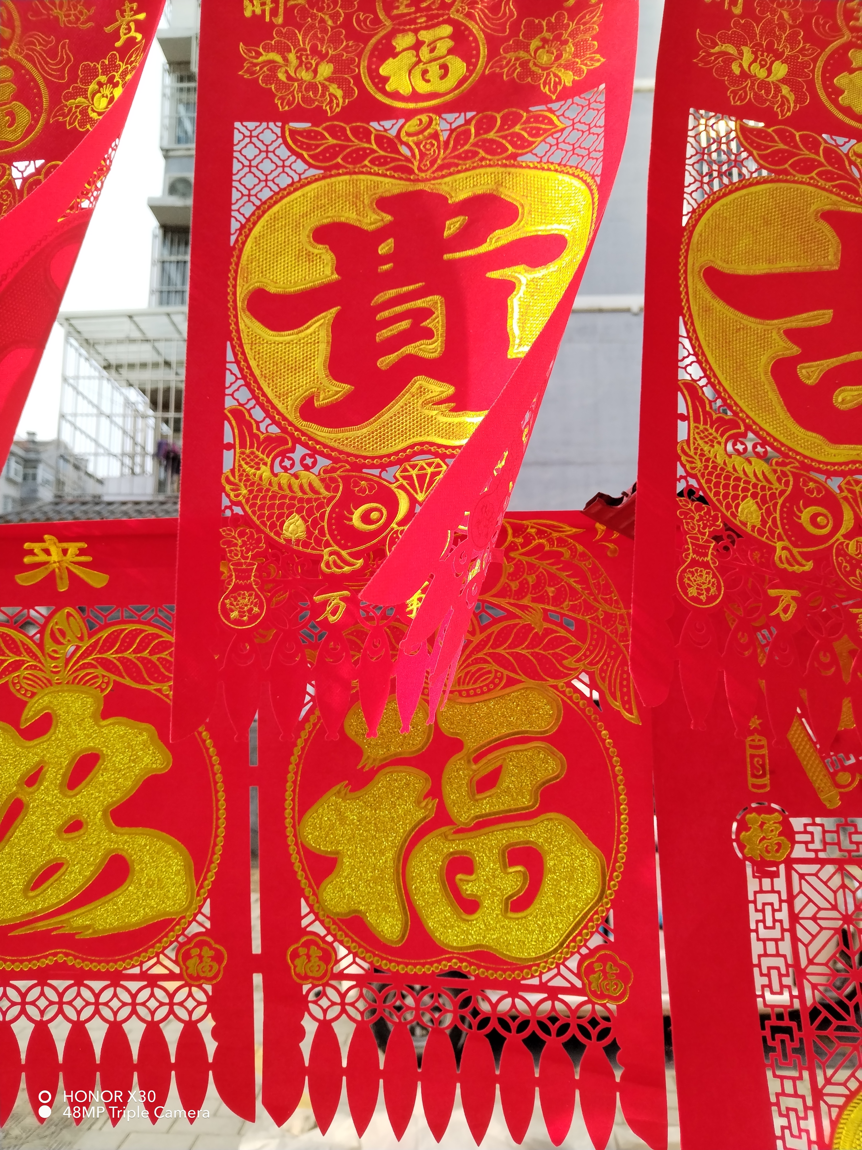 IMG_20220127_120614.jpg