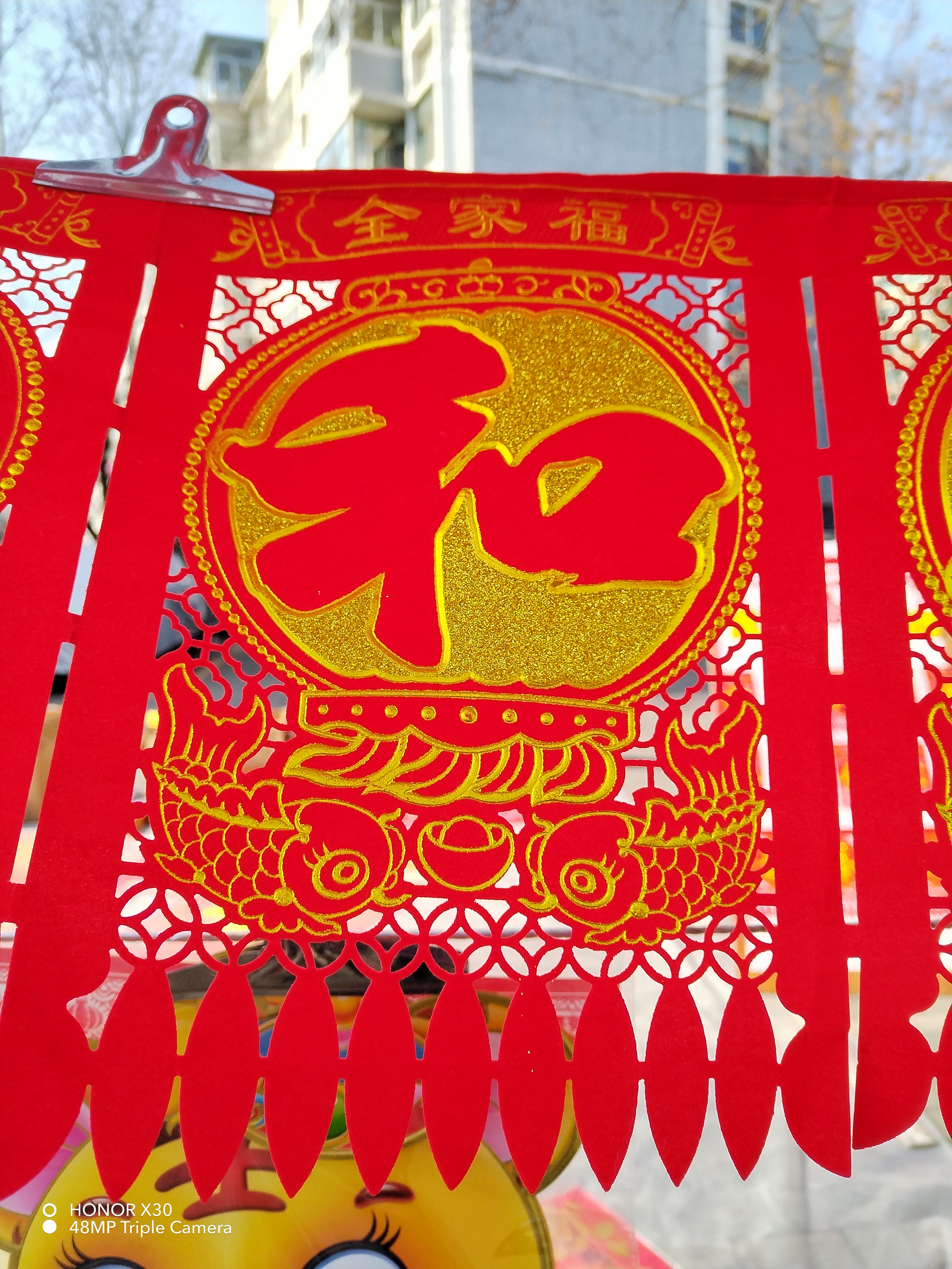 IMG_20220129_132956.jpg