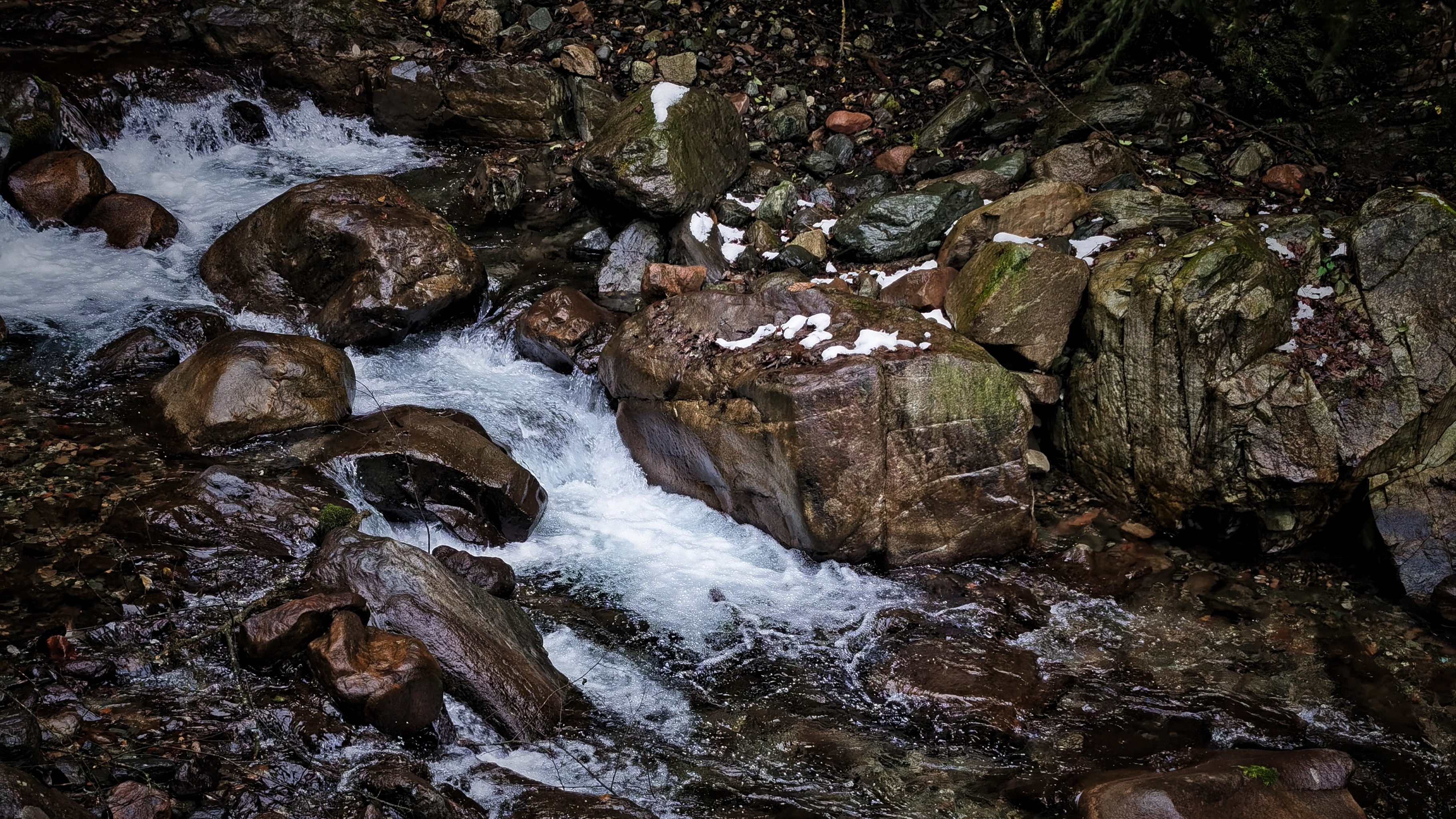 IMG_20220130_181141.jpg