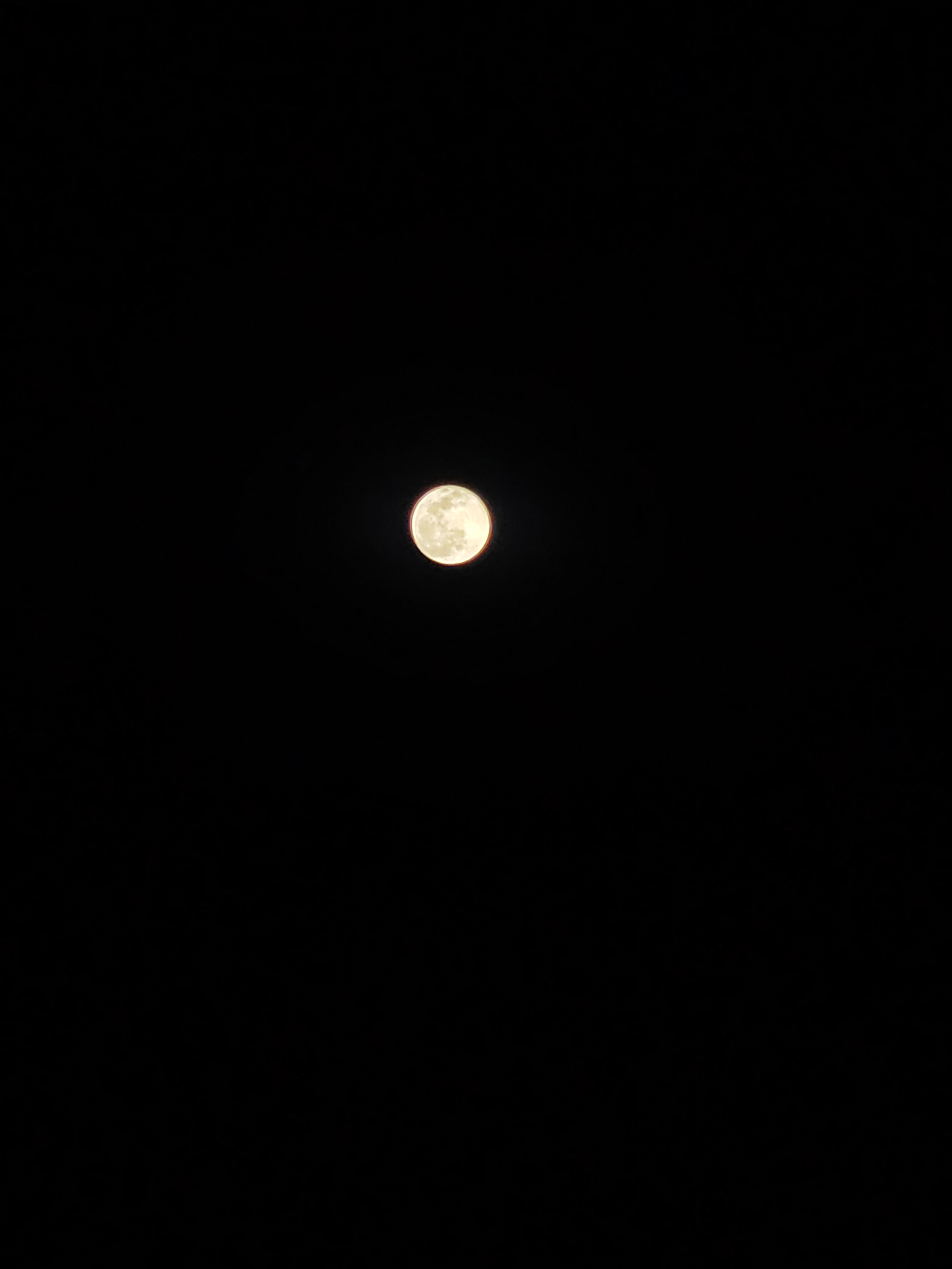 IMG_20220118_222856.jpg