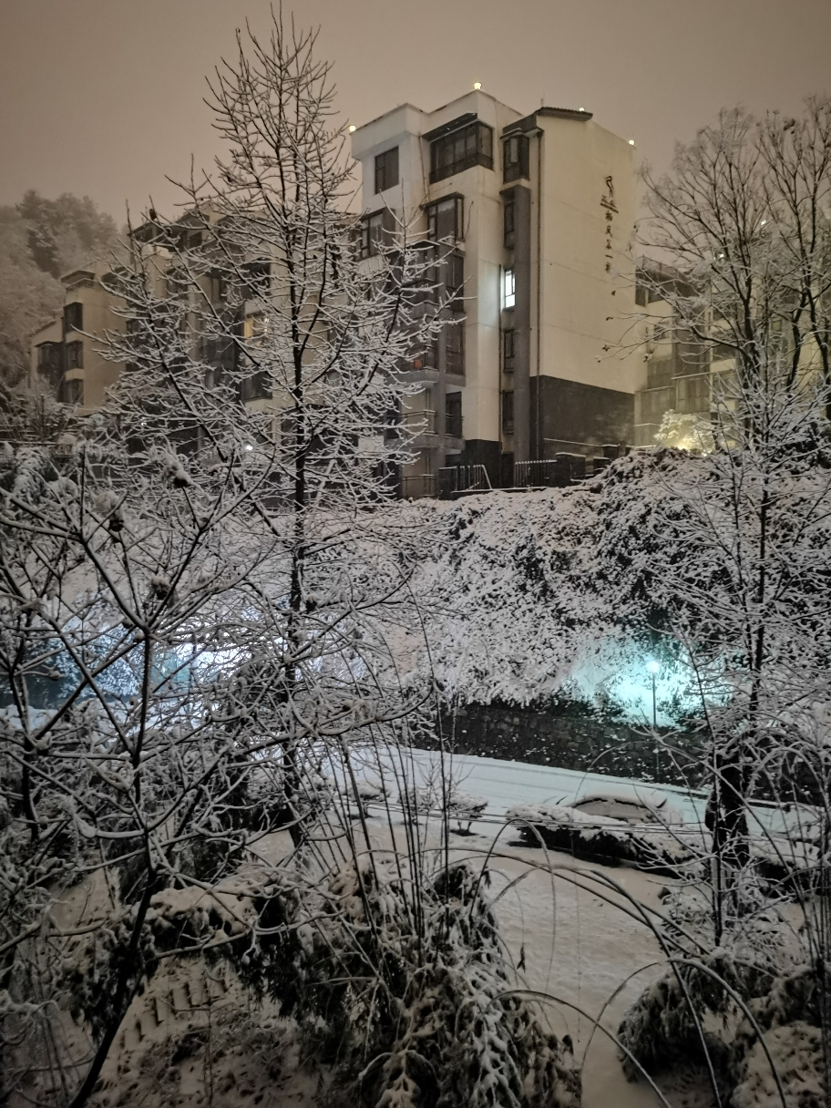 IMG_20220131_000323.jpg