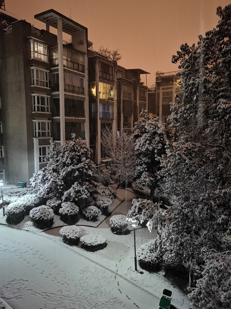 IMG_20220130_235800.jpg