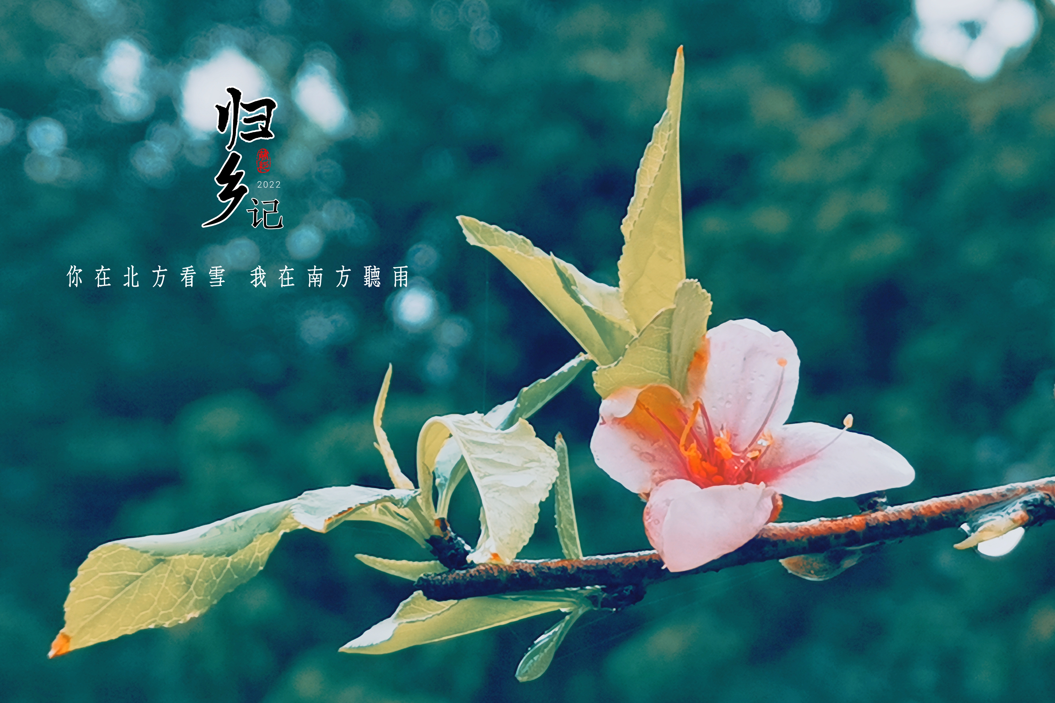 Mix_20220201_194107.jpg