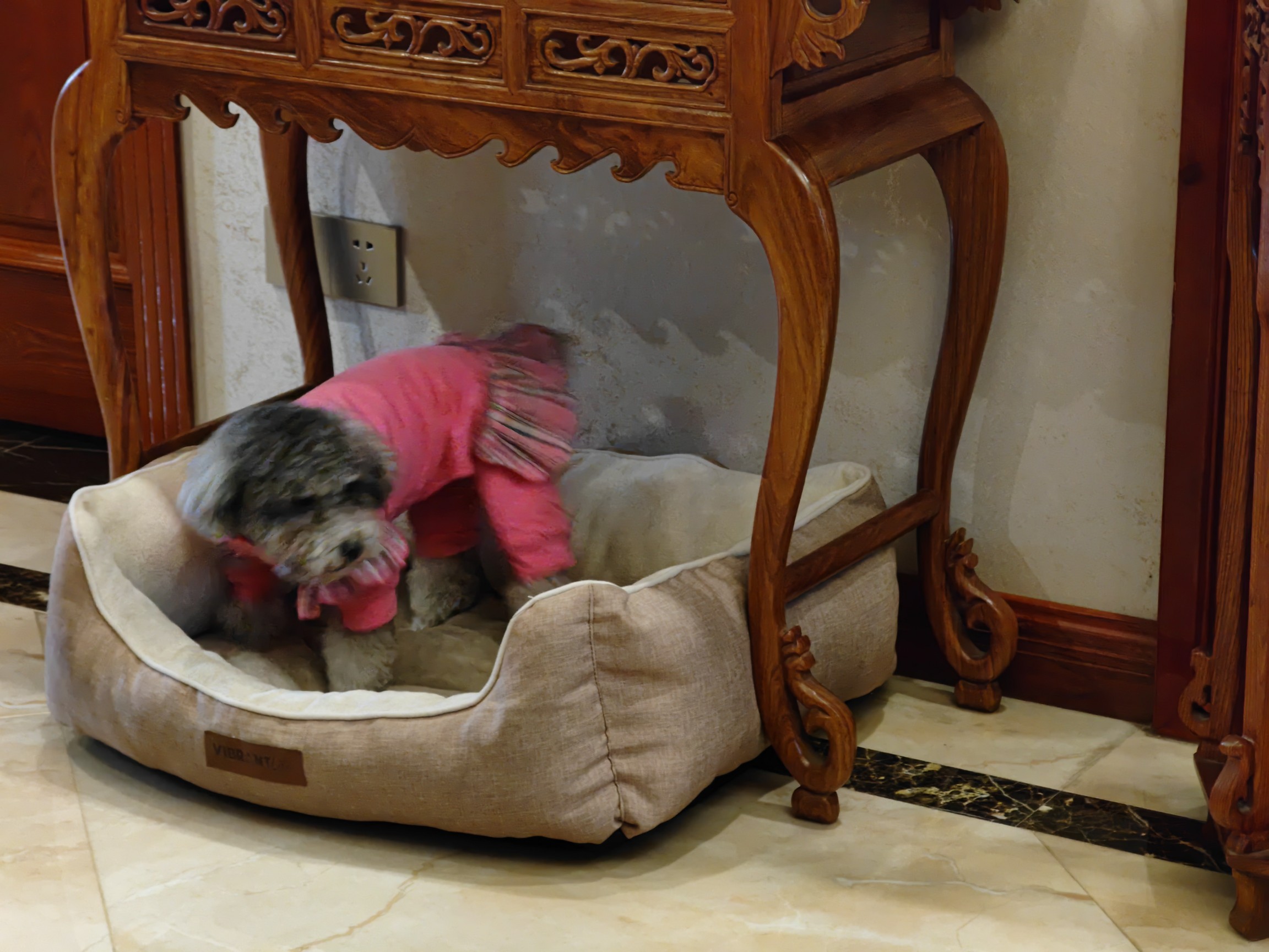 IMG_20220131_114529.jpg