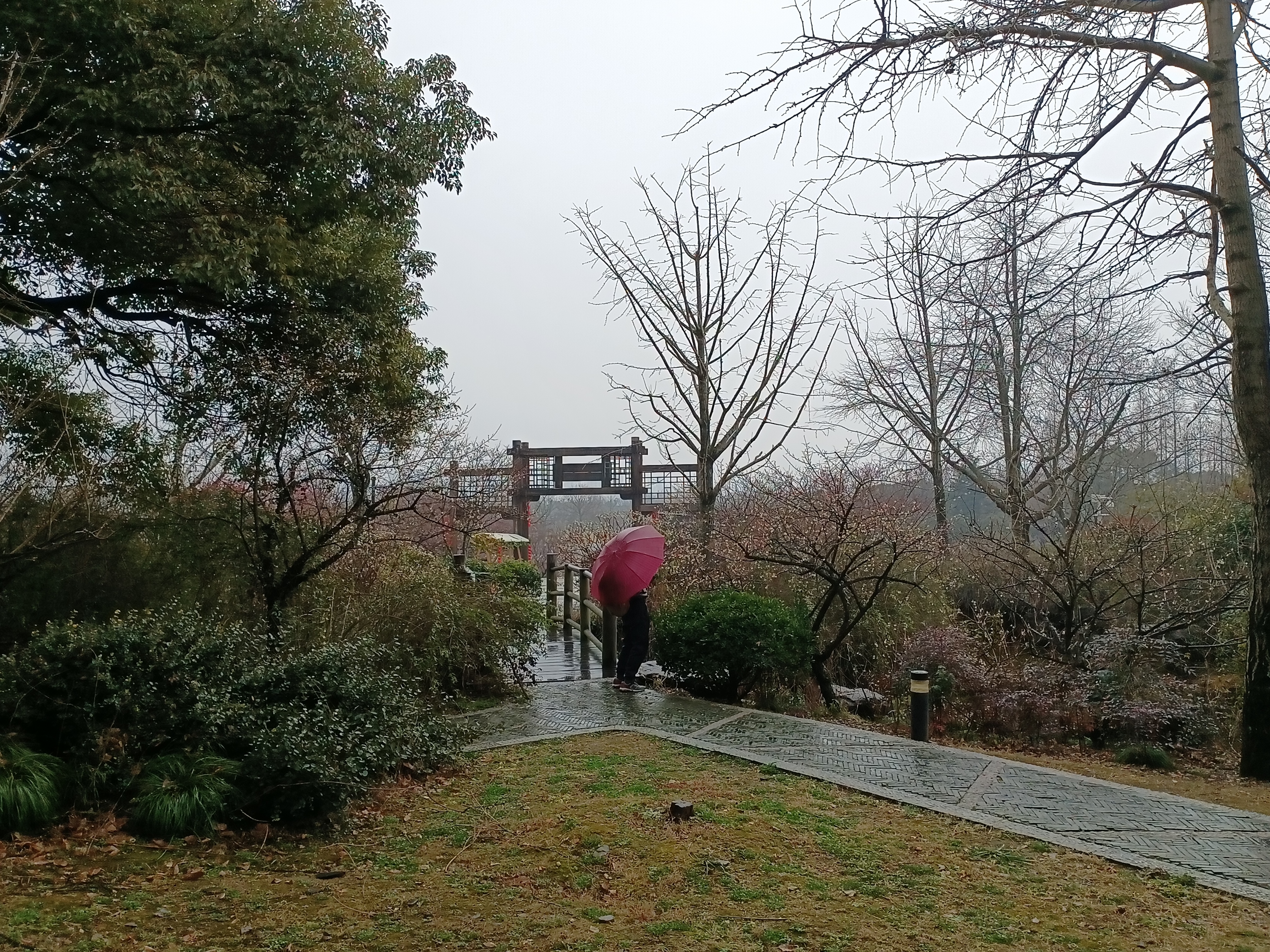 IMG_20220129_151416.jpg