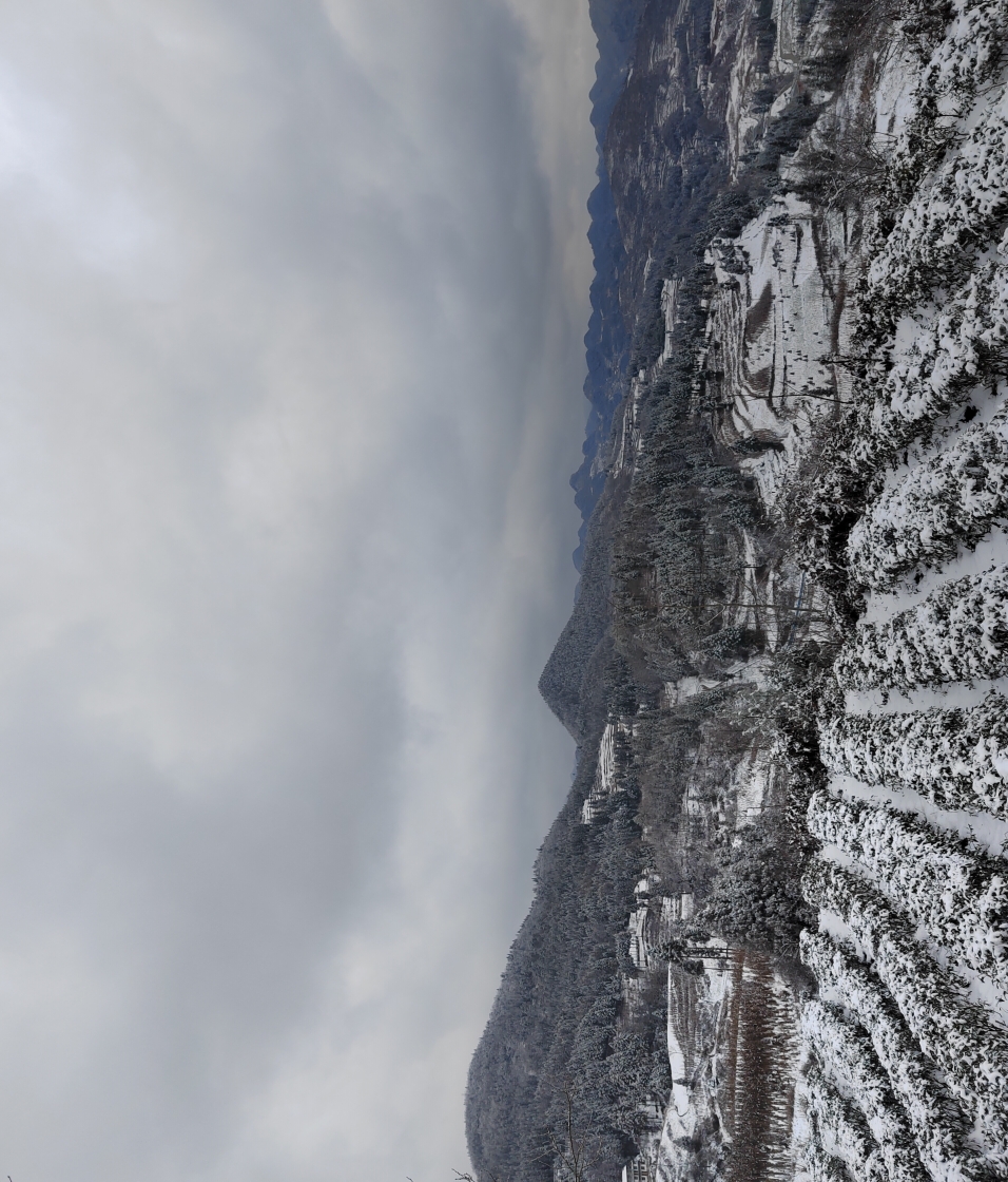 IMG_20220202_135157.jpg