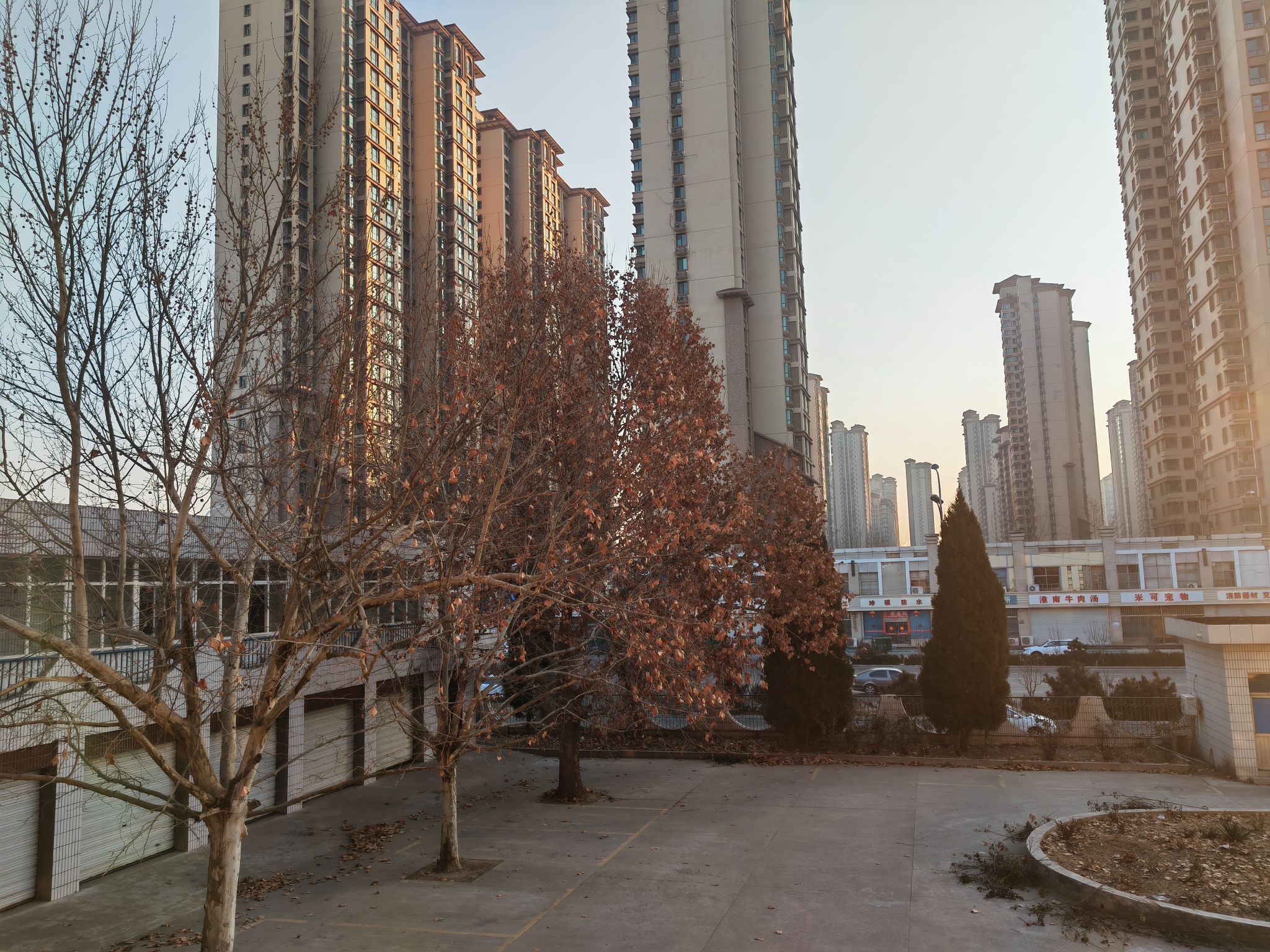 IMG_20220203_081235.jpg