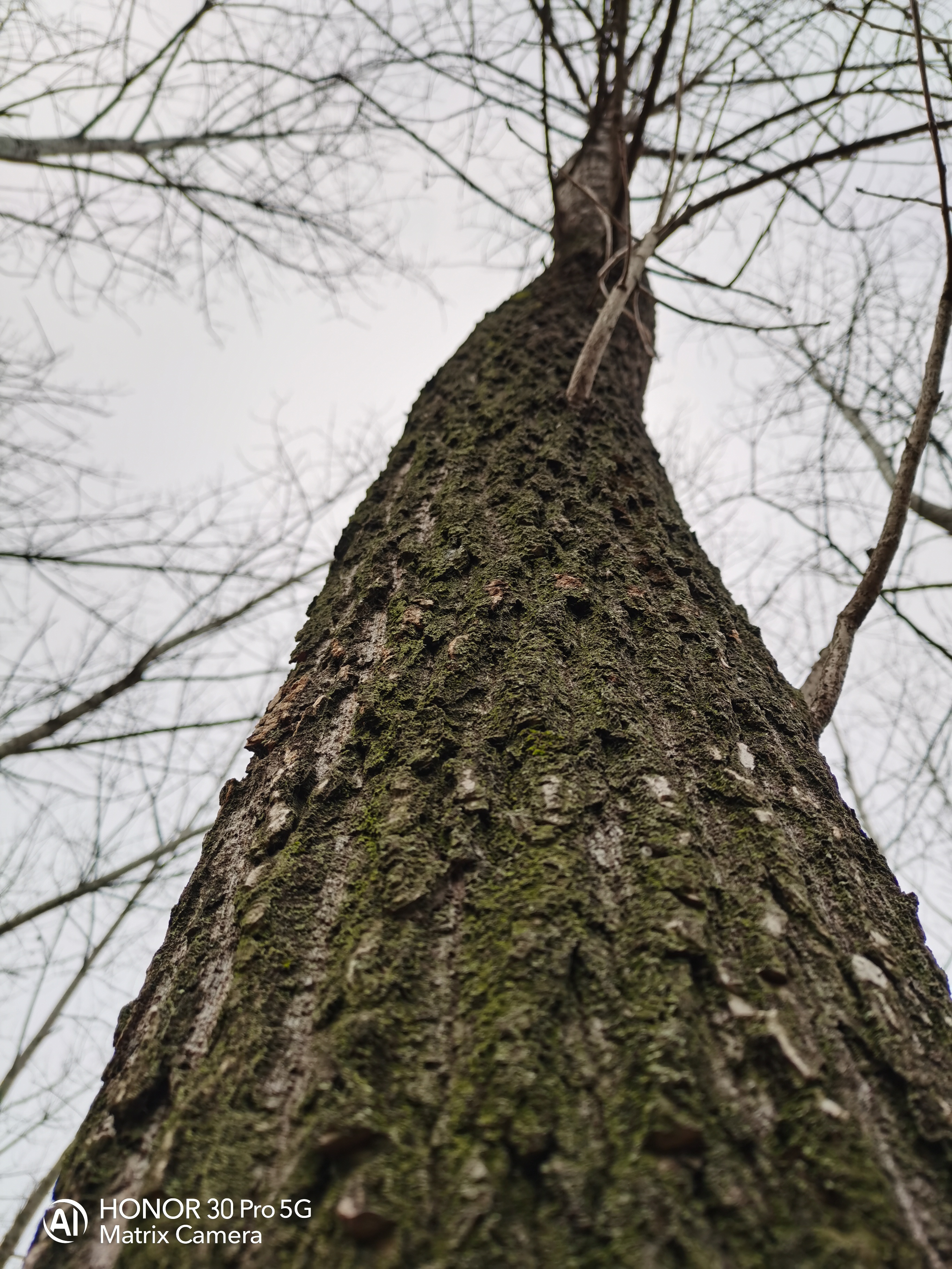 IMG_20220127_171650.jpg