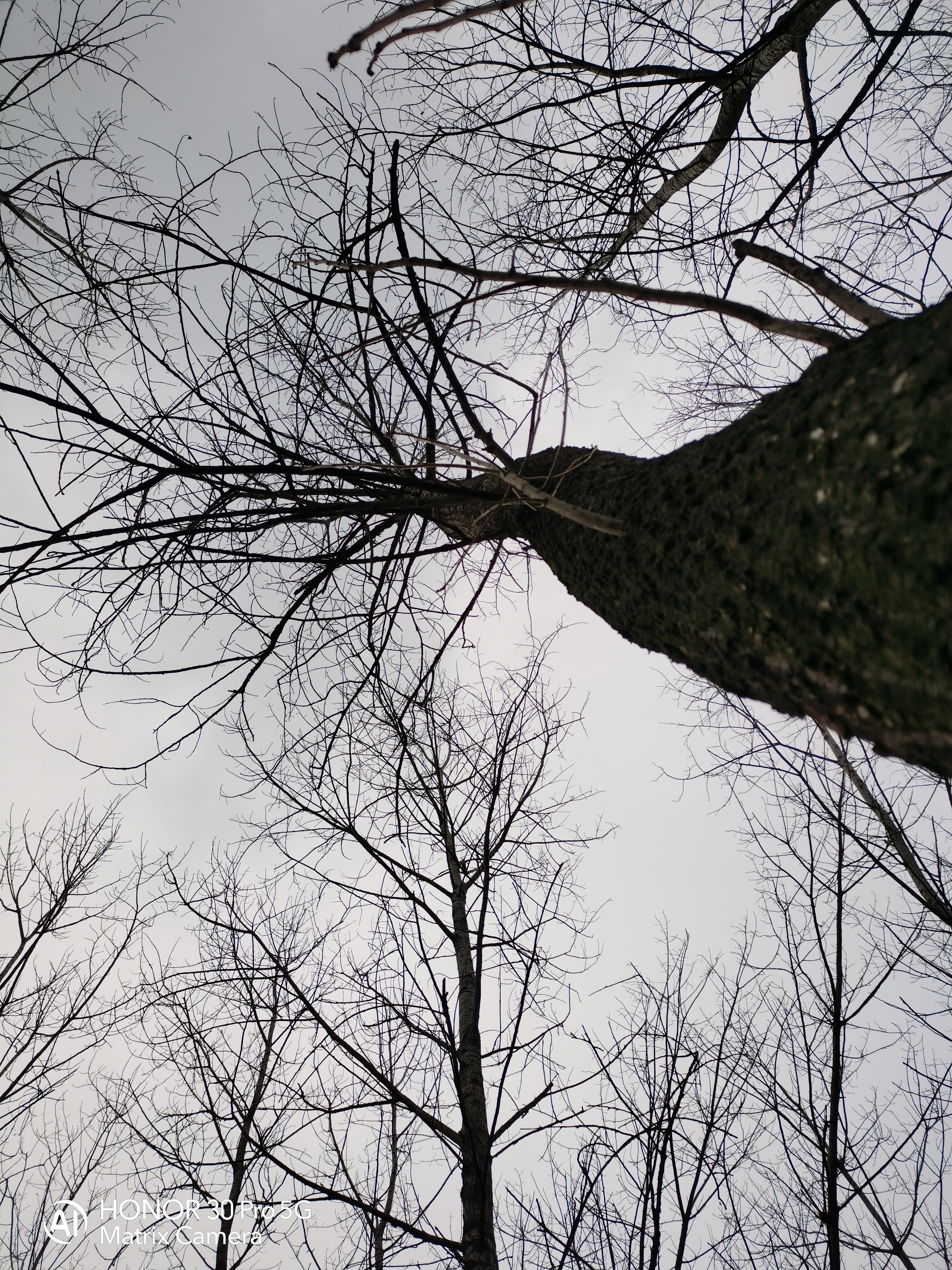IMG_20220127_171643.jpg