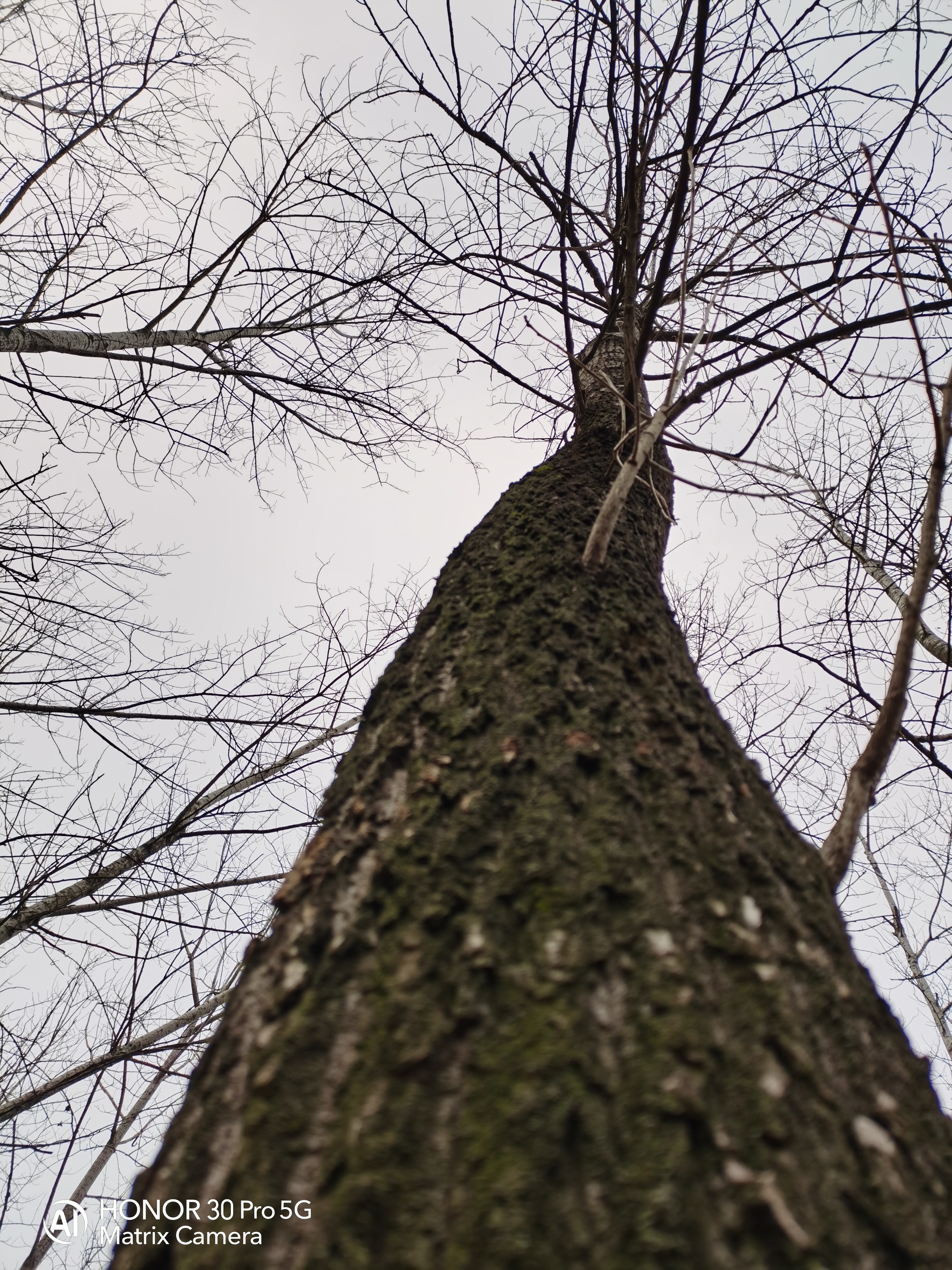 IMG_20220127_171656.jpg