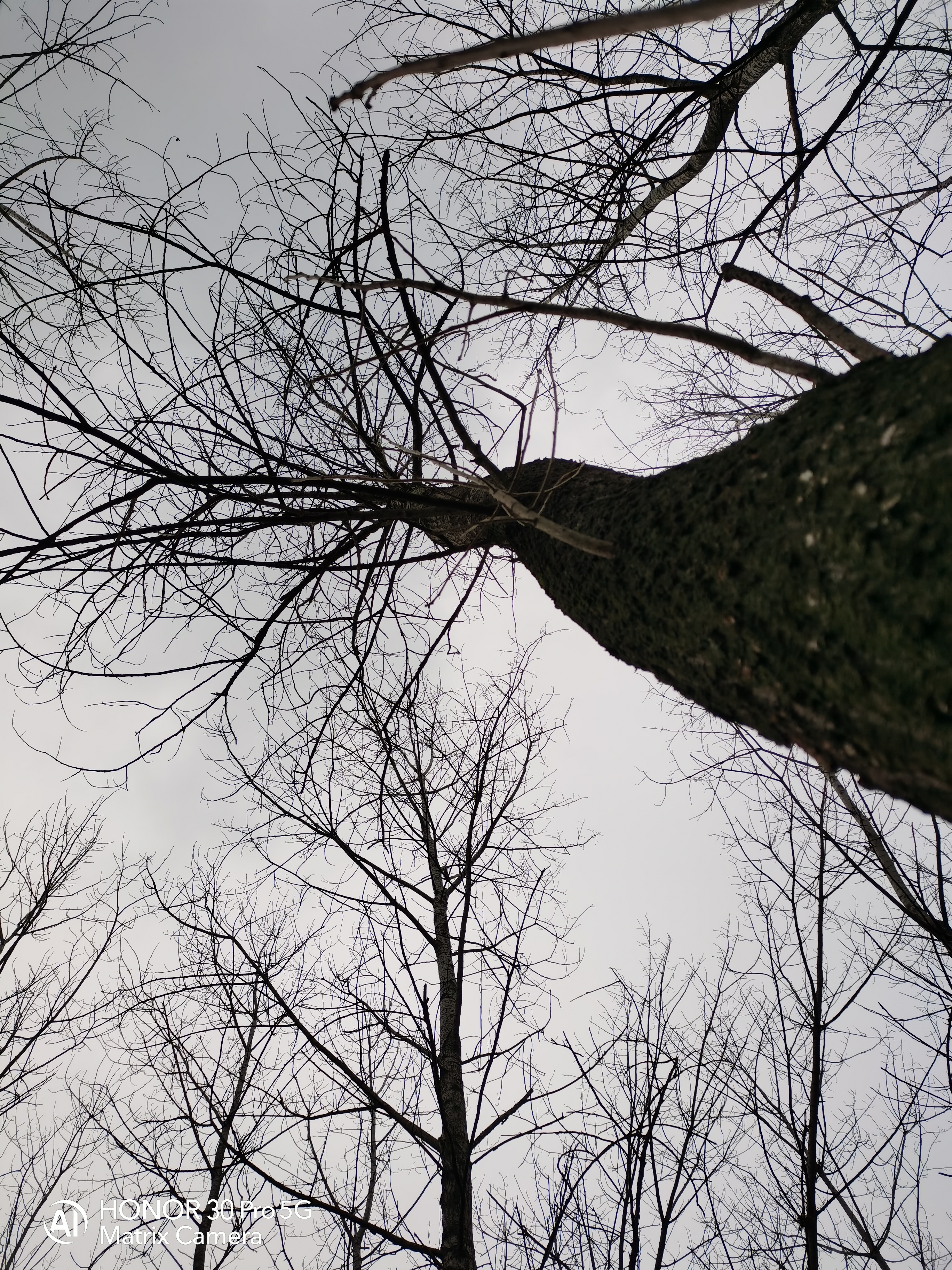 IMG_20220127_171641.jpg