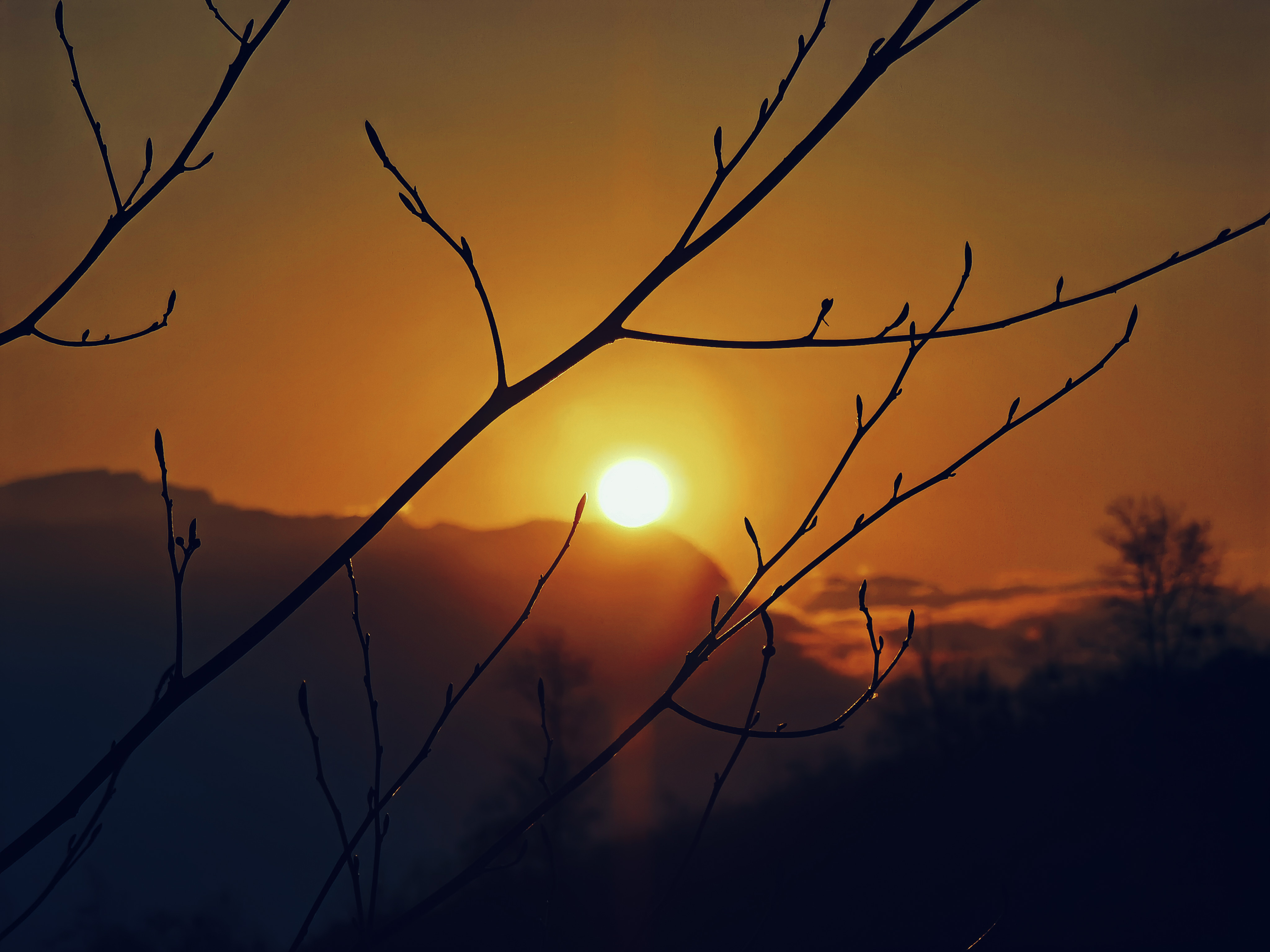 IMG_20220129_181746_polarr.jpg