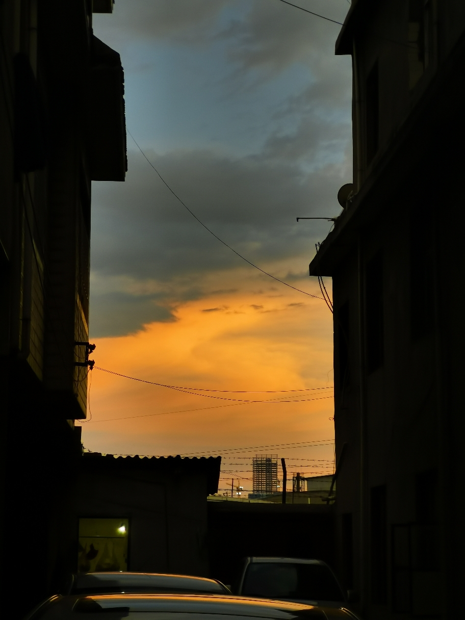 IMG_20210704_201318.jpg