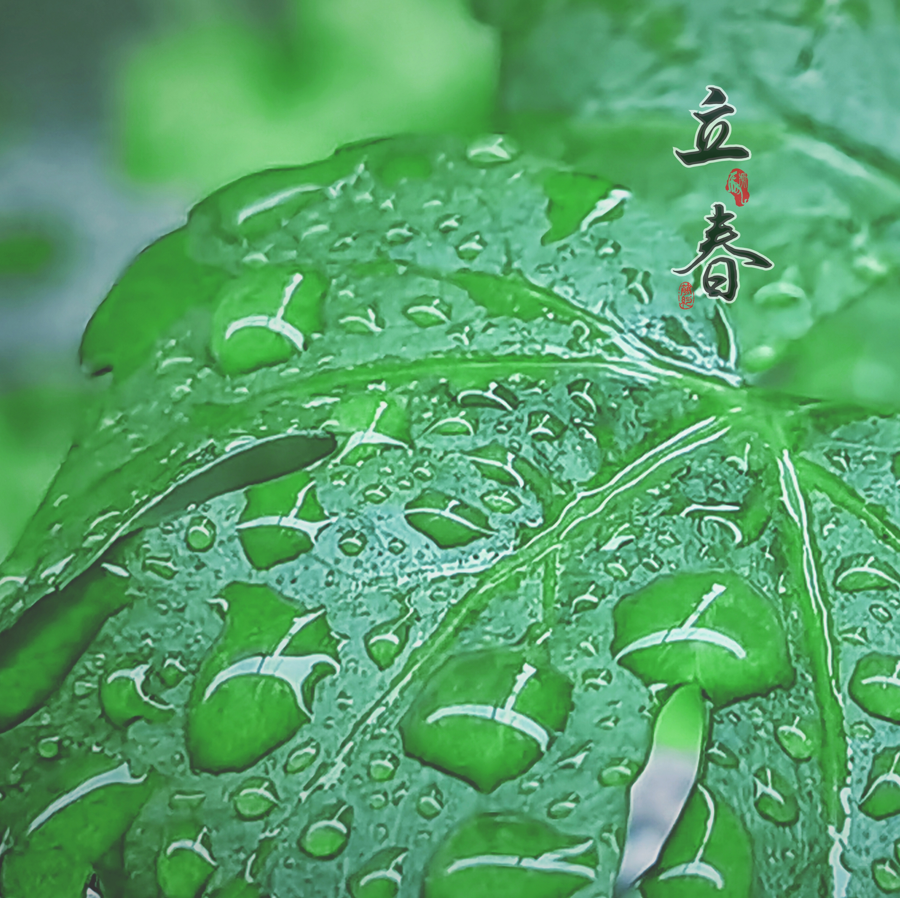 立春‖好雨知时节