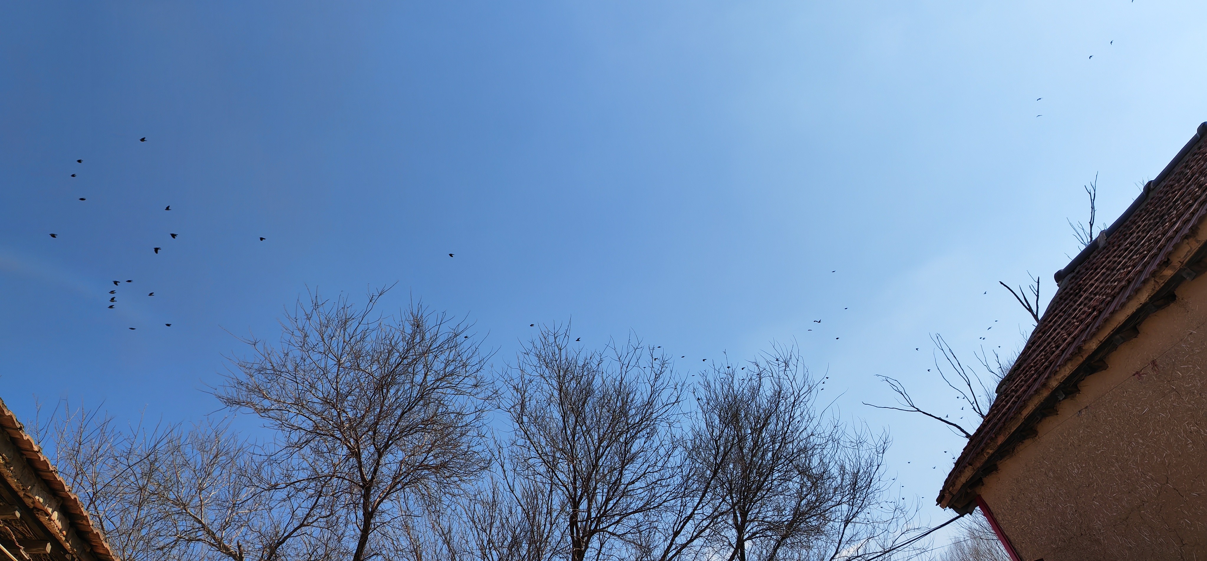 IMG_20220204_112949.jpg