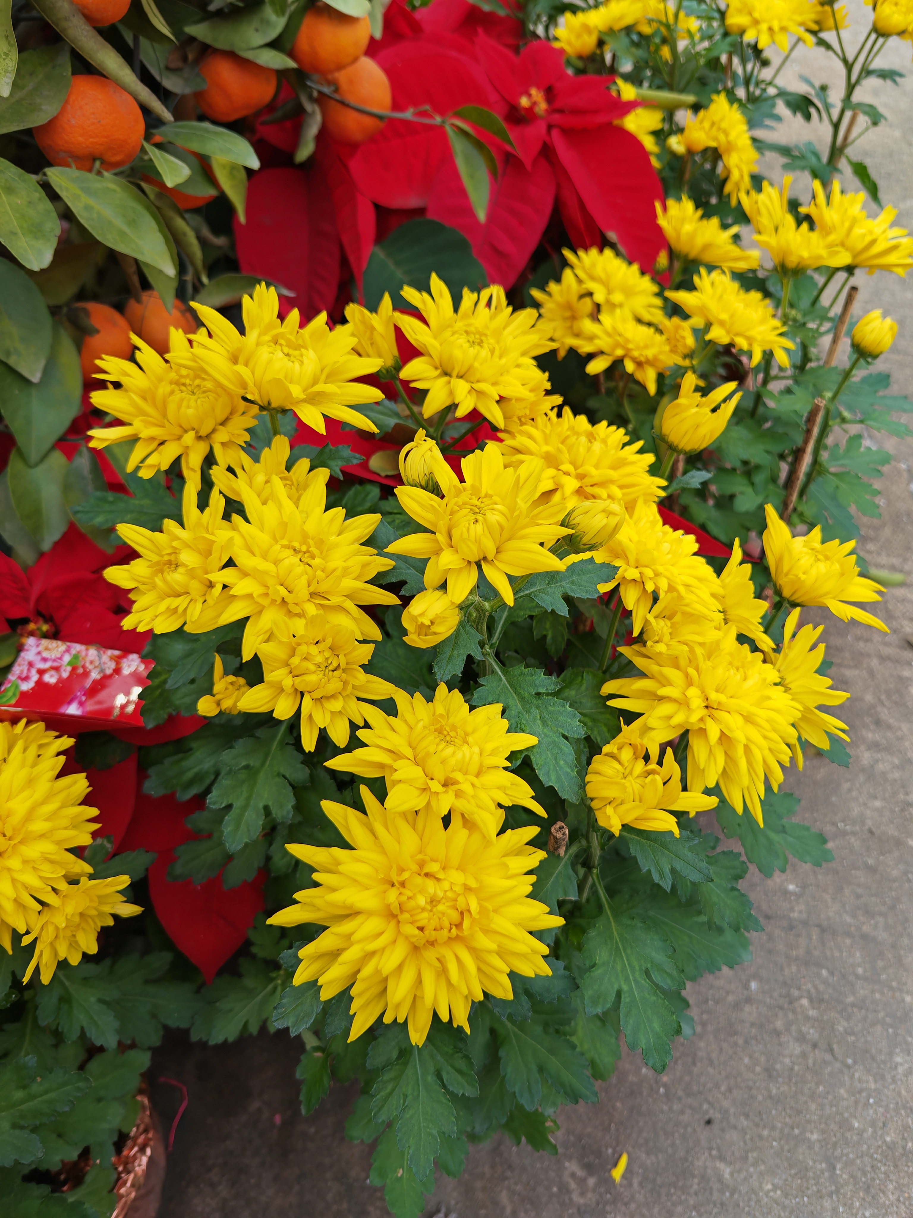 IMG_20220204_101241.jpg