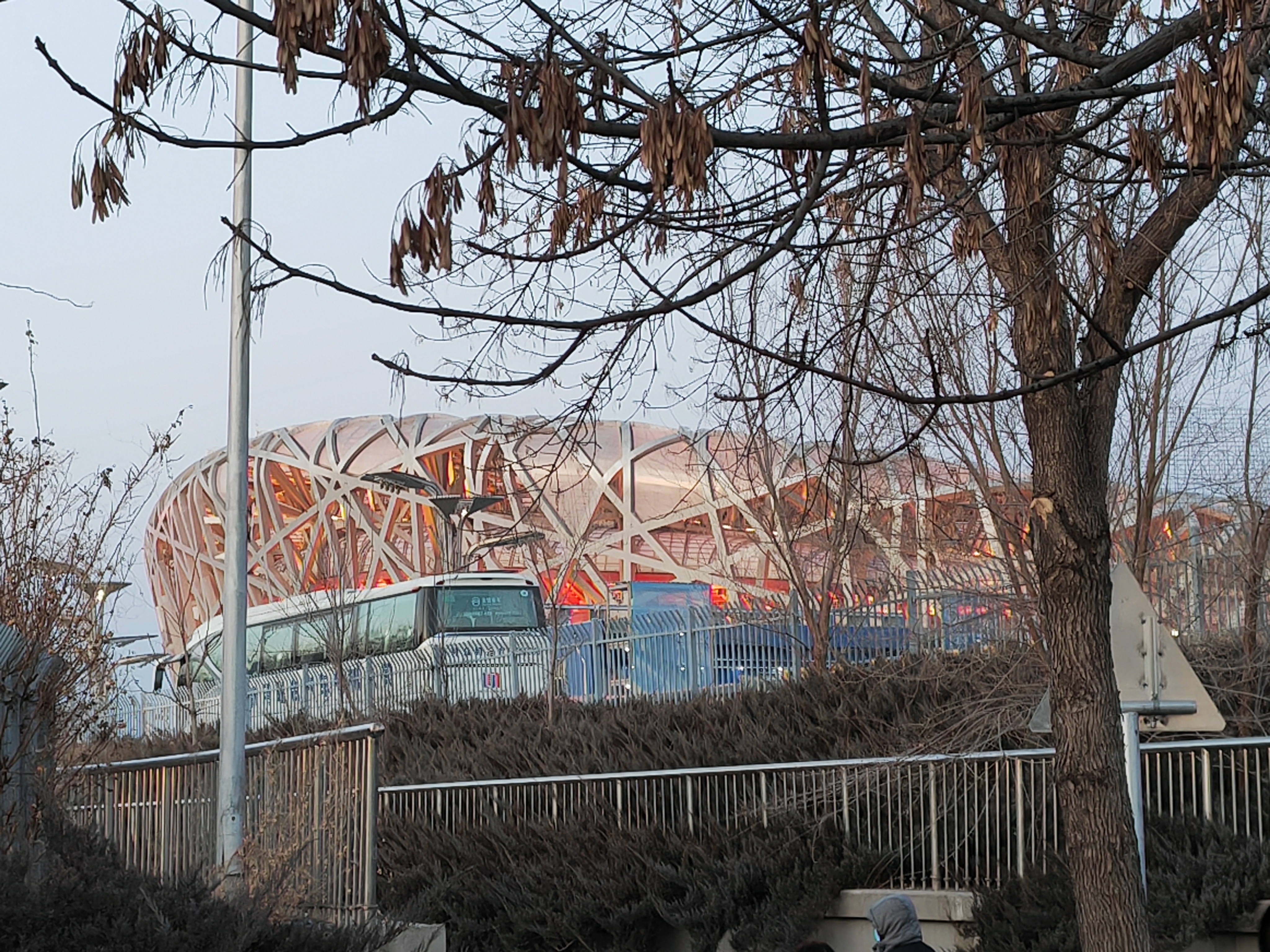 IMG_20220204_174555.jpg