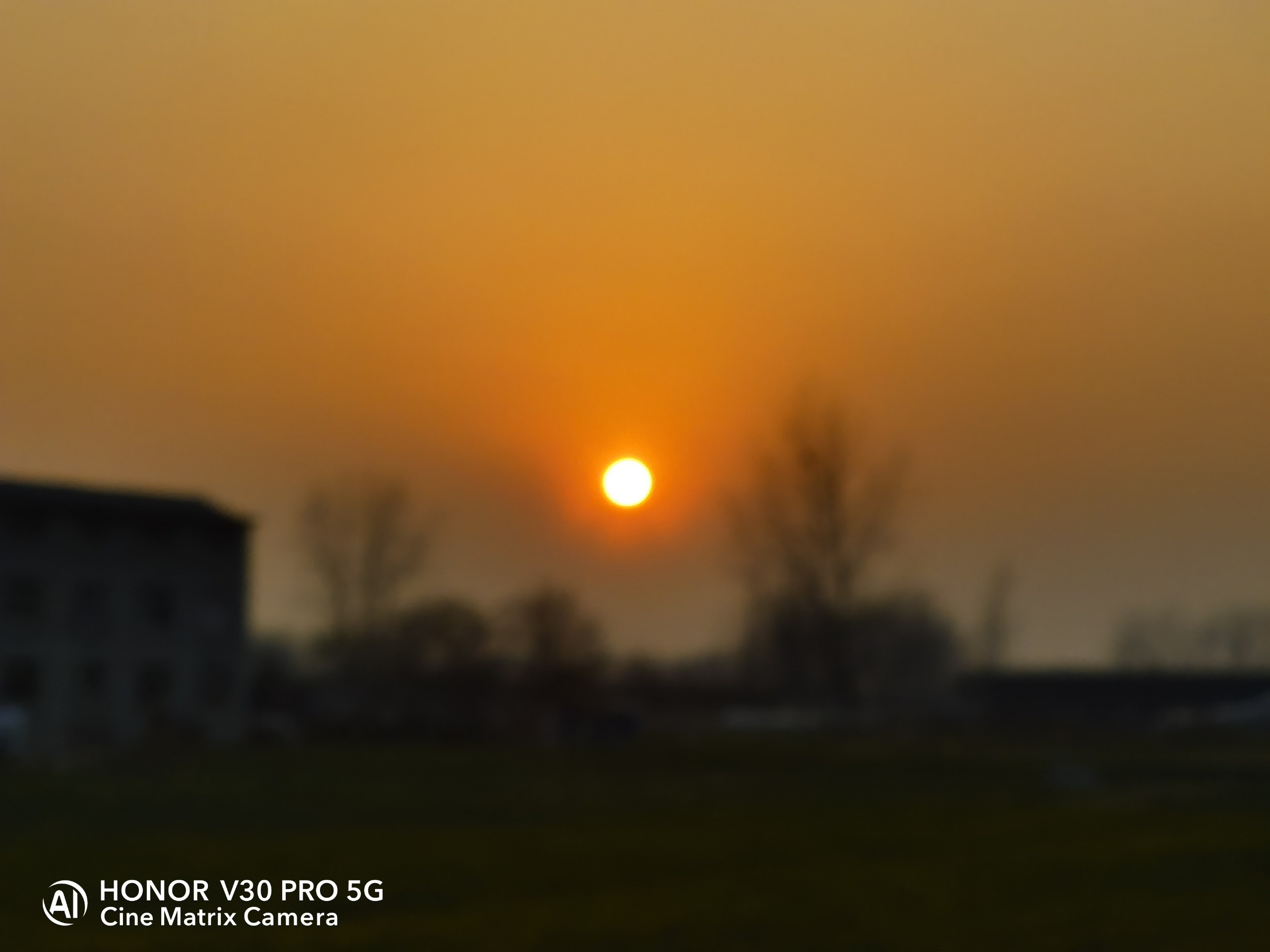 IMG_20220204_172352.jpg