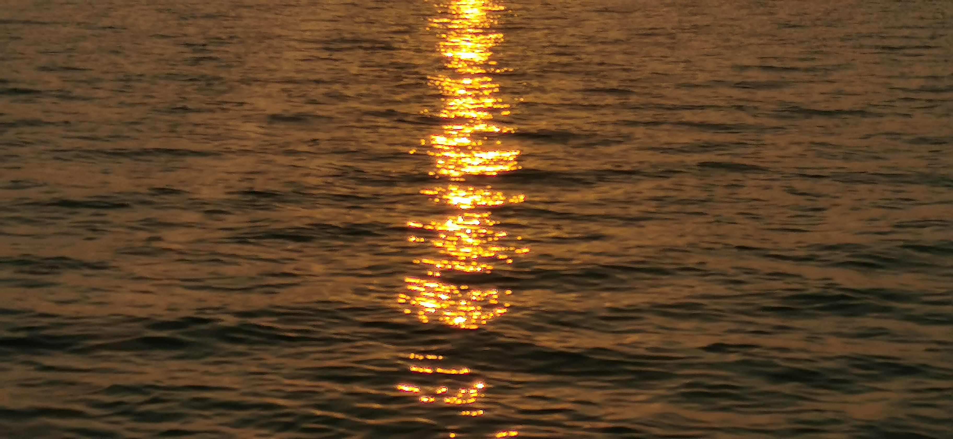 IMG_20220103_172945.jpg