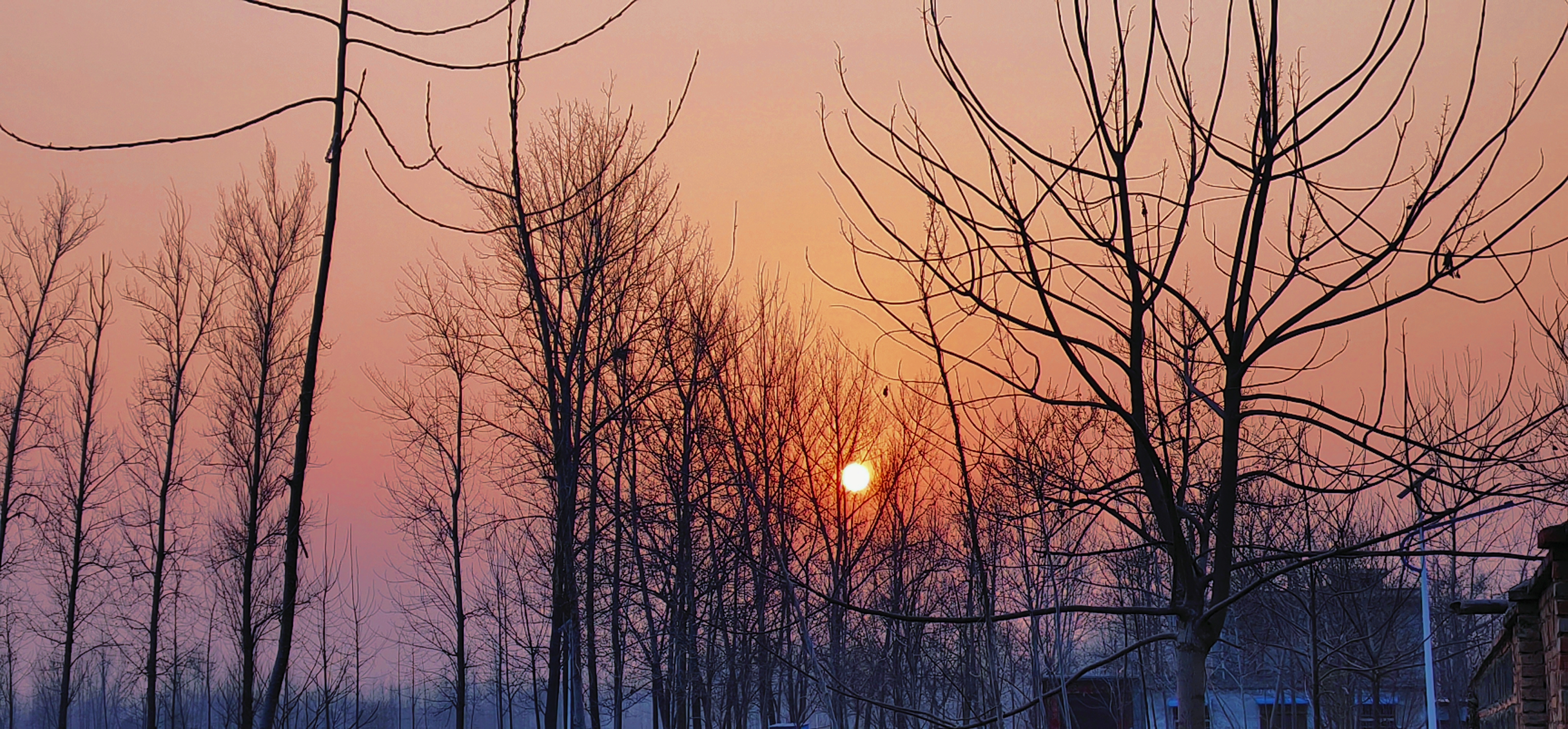 retouch_2022020418170855.jpg