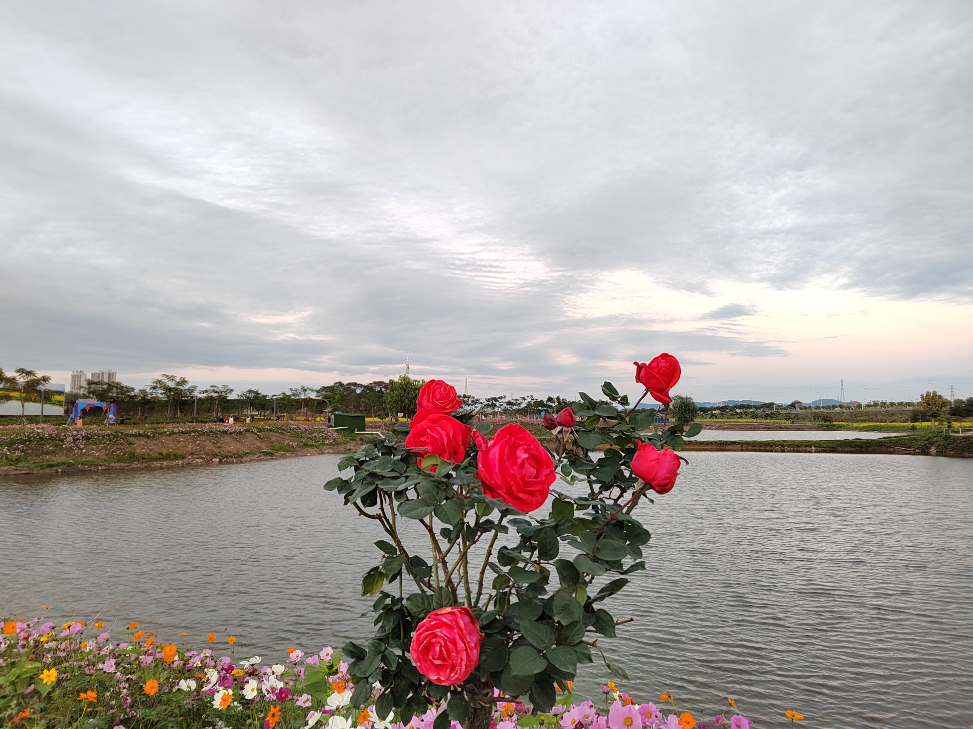 IMG_20220204_181251.jpg