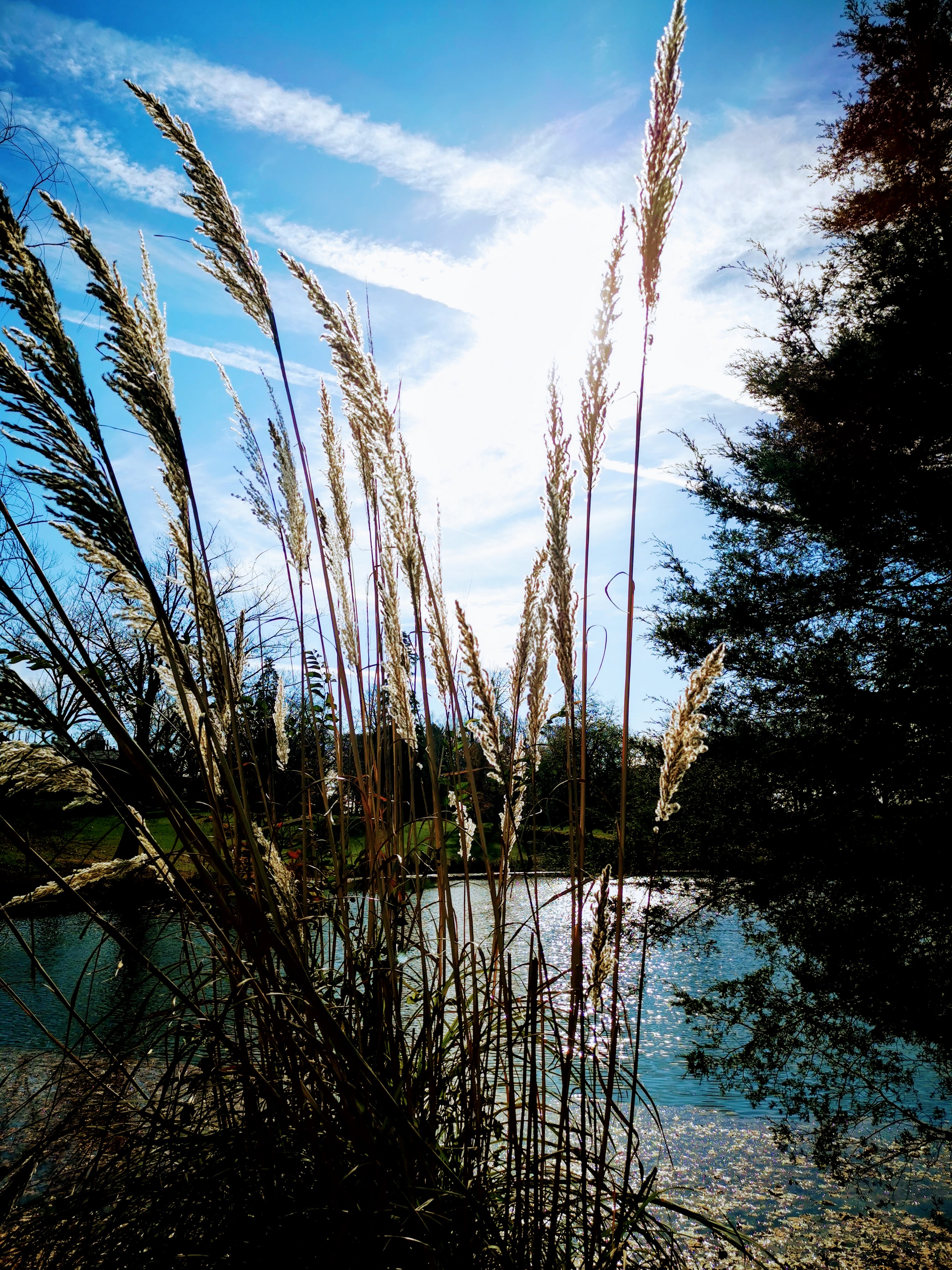 IMG_20201119_120750.jpg