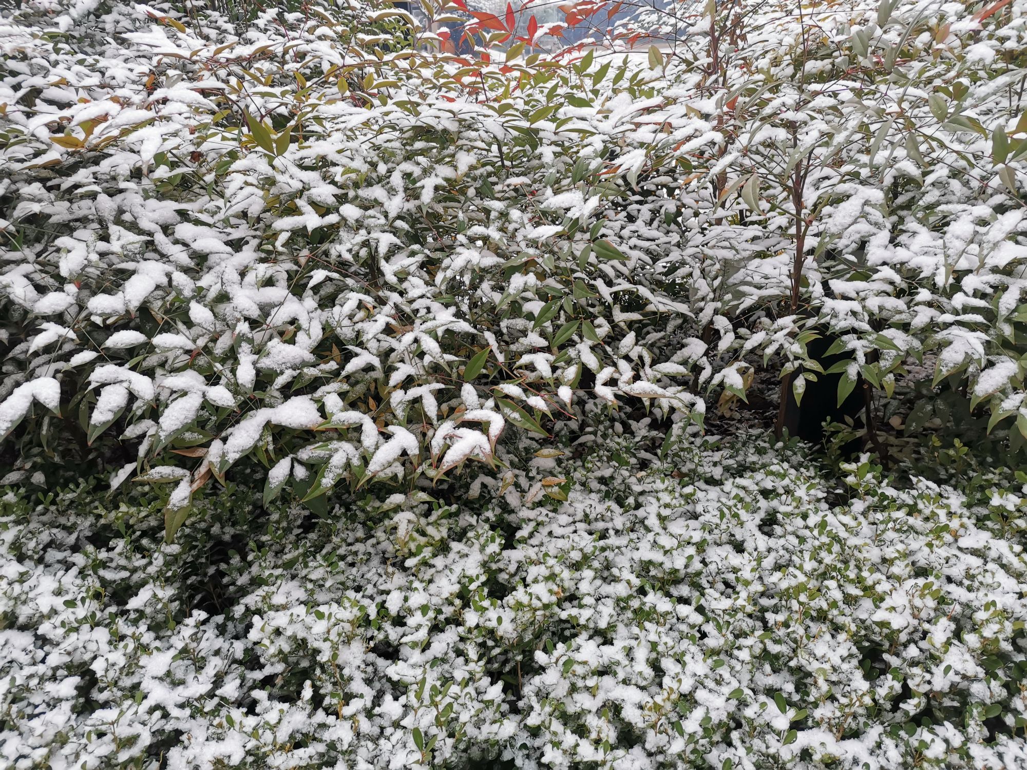 IMG_20220206_111758.jpg