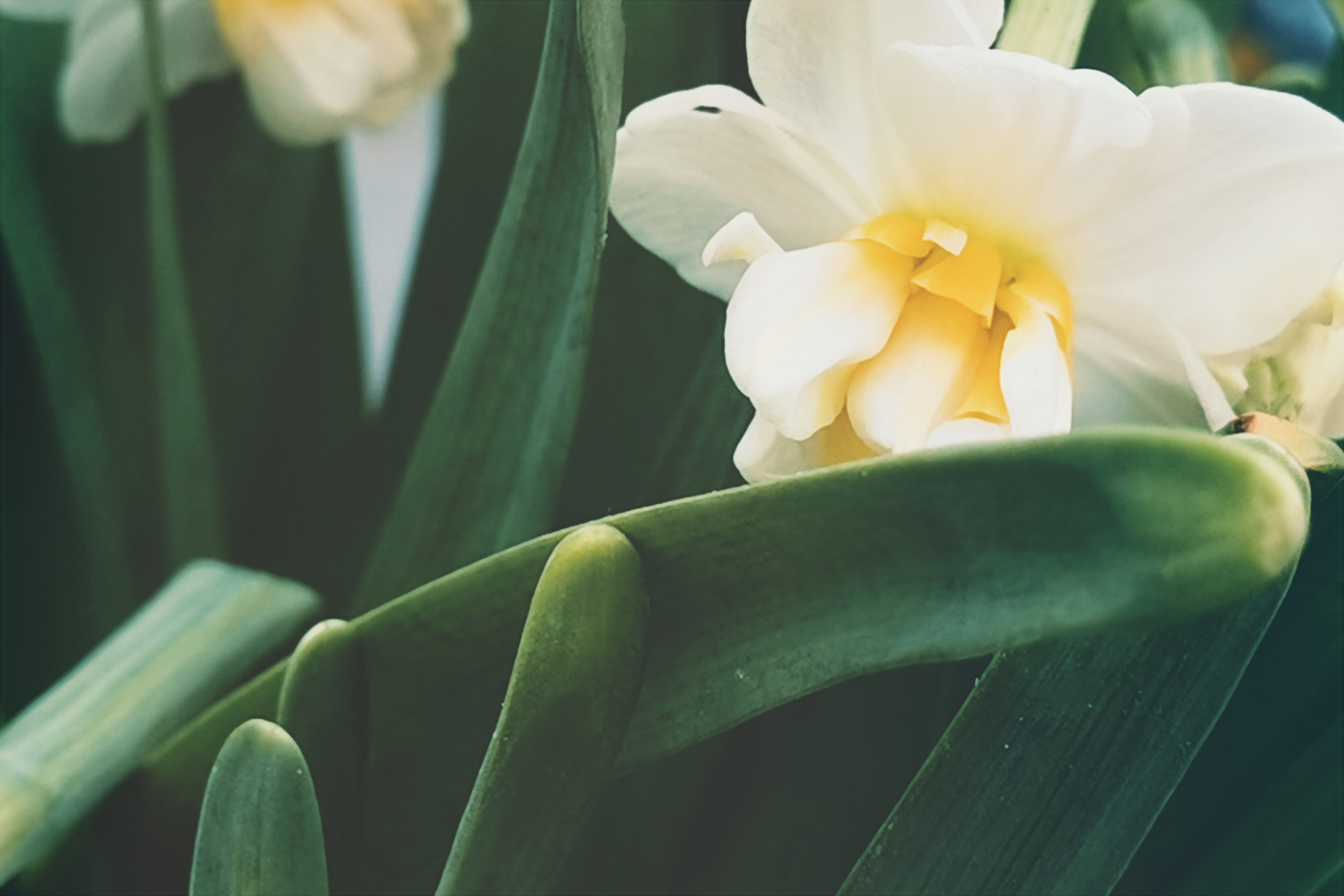 InterPhoto_1644150016431.jpg