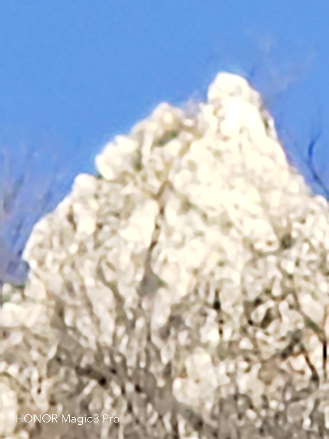 IMG_20220207_100305.jpg