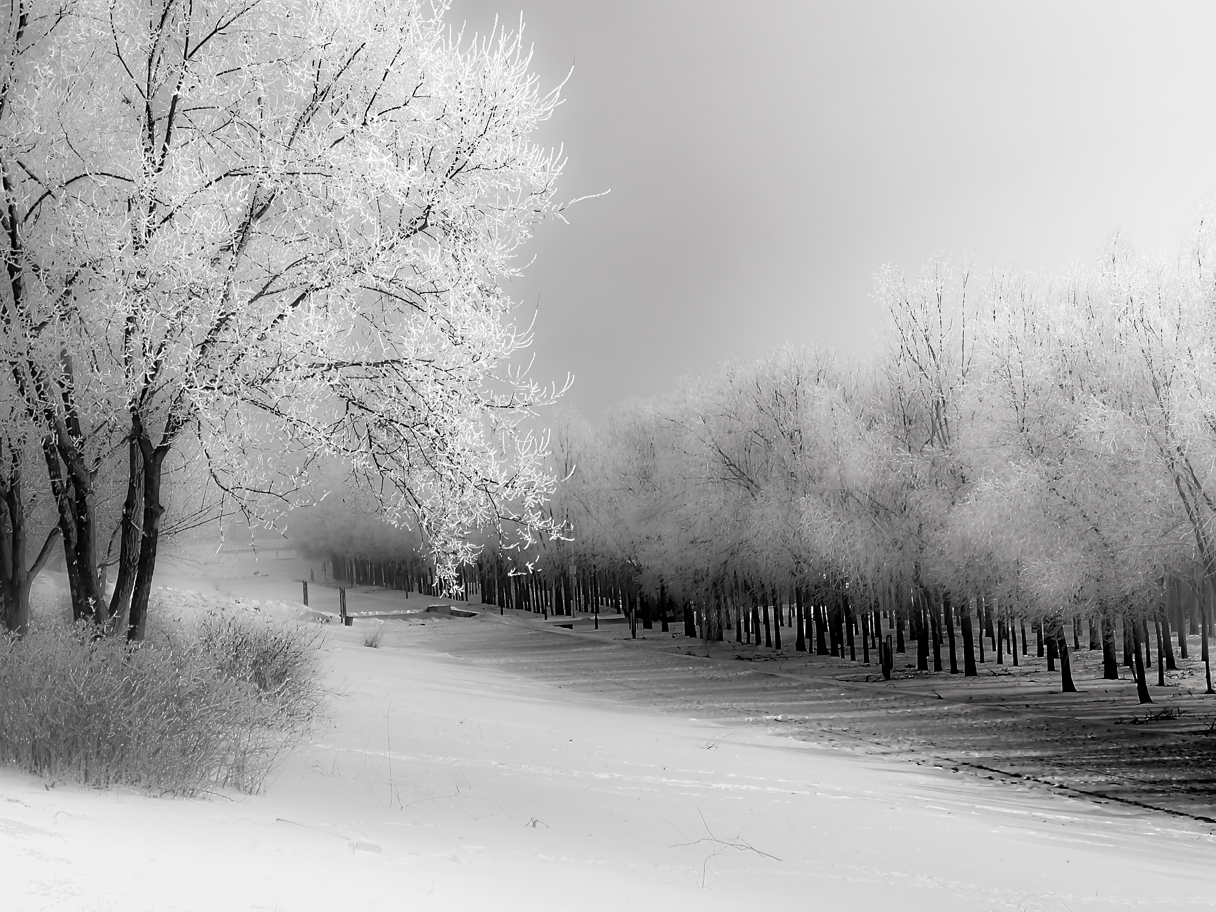 IMG_20220127_120812 (3).jpg
