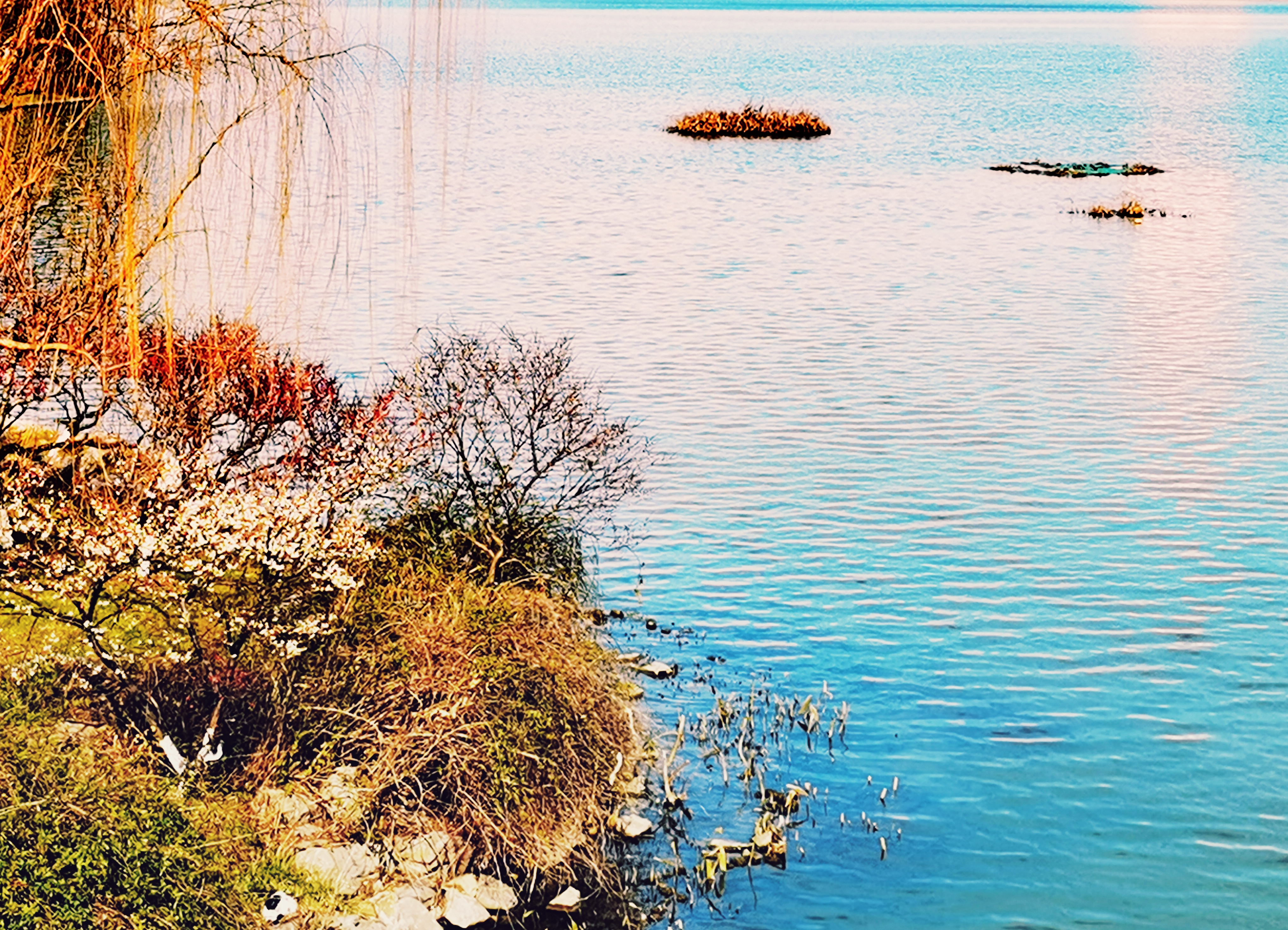湖光水色-荣耀俱乐部
