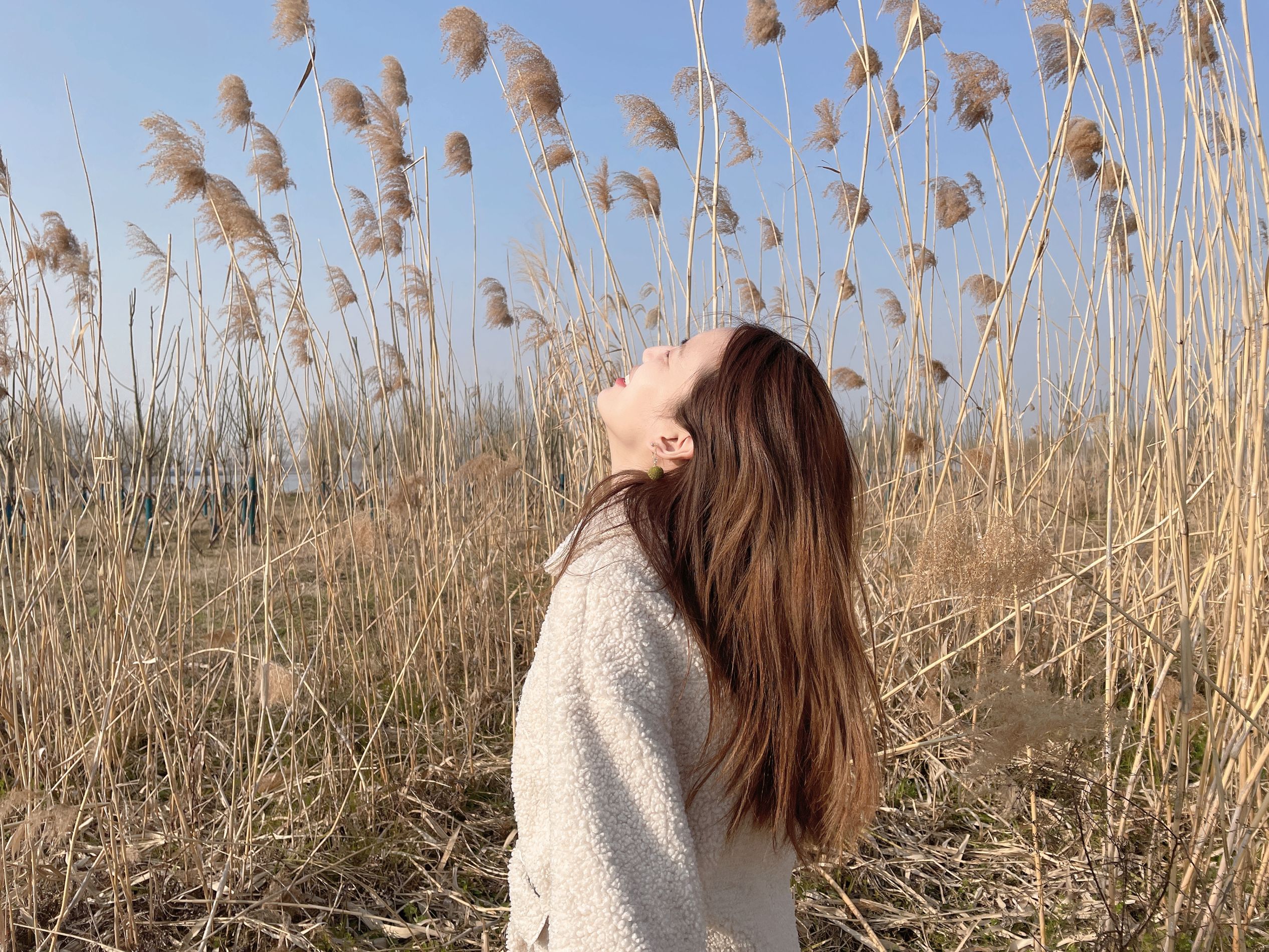 闪耀女生芦苇荡旁