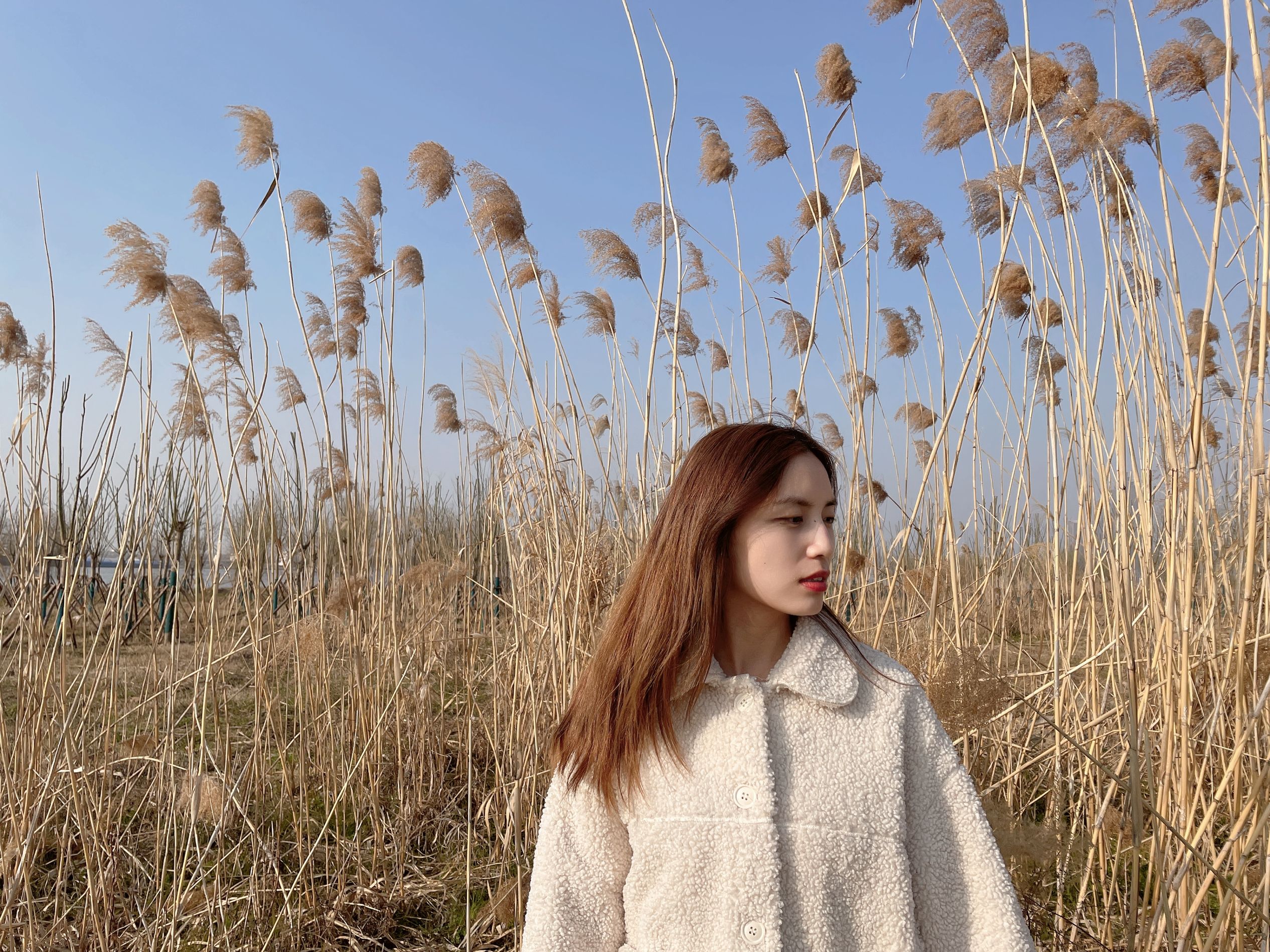 闪耀女生芦苇荡旁