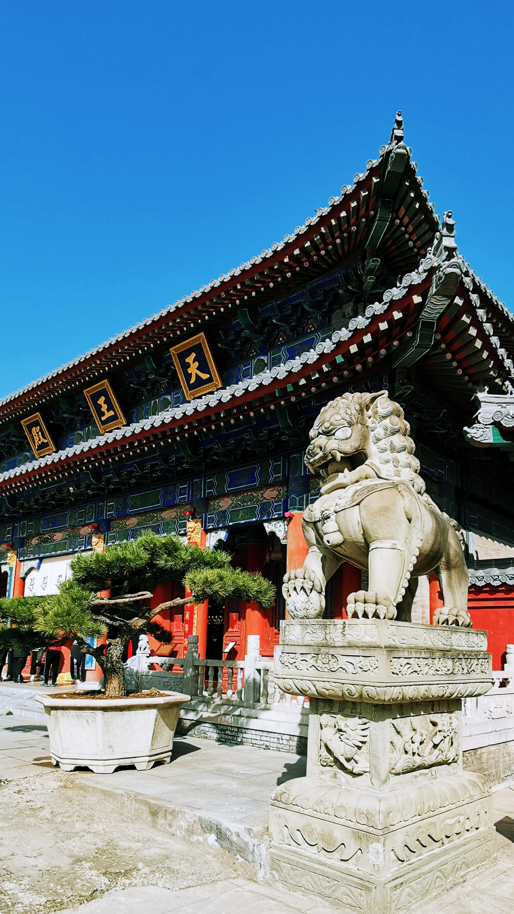 密藏宗风大兴善寺