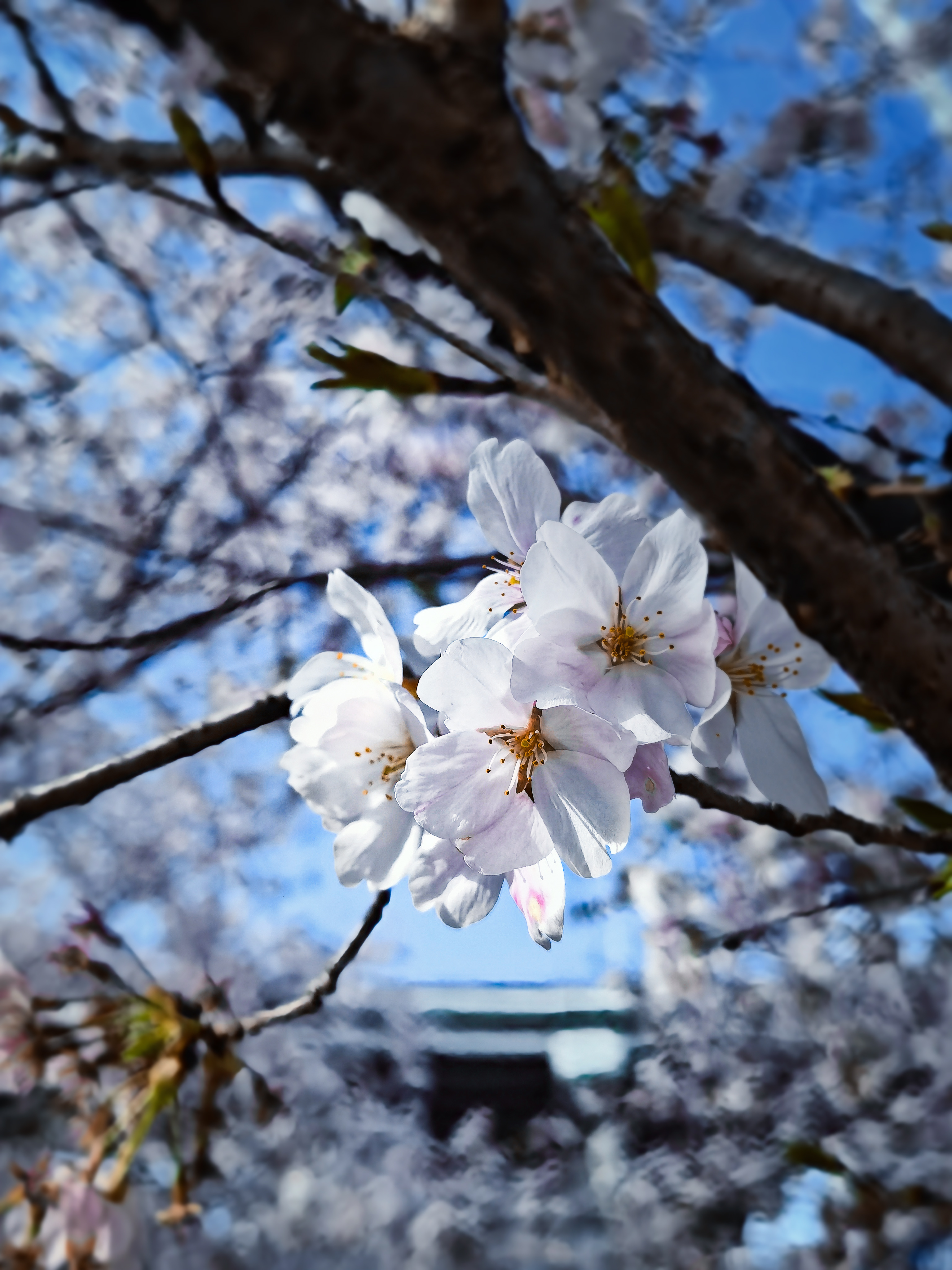IMG_20220328_152523_polarr.jpg