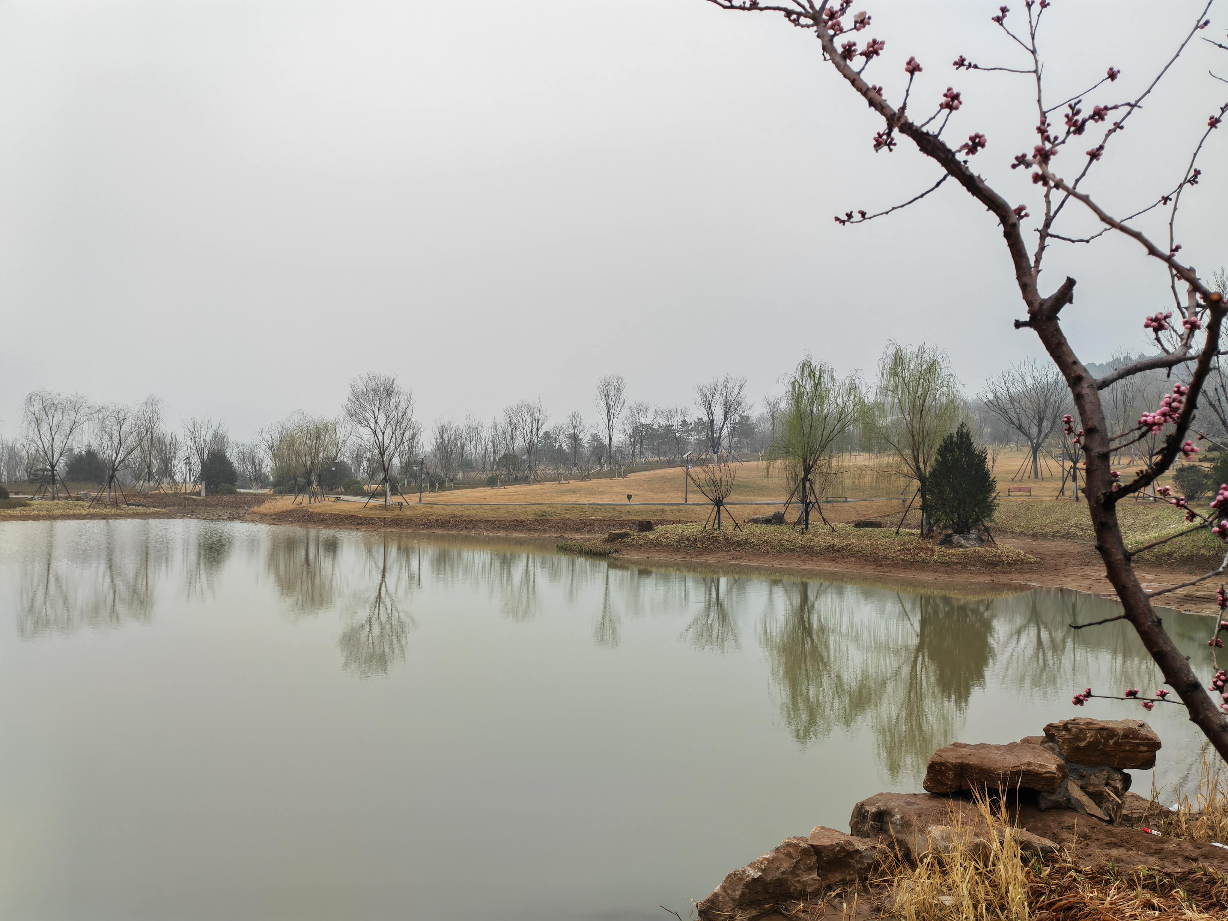 照片拍摄于山东济南虞山拍摄机型为荣耀magic3pro