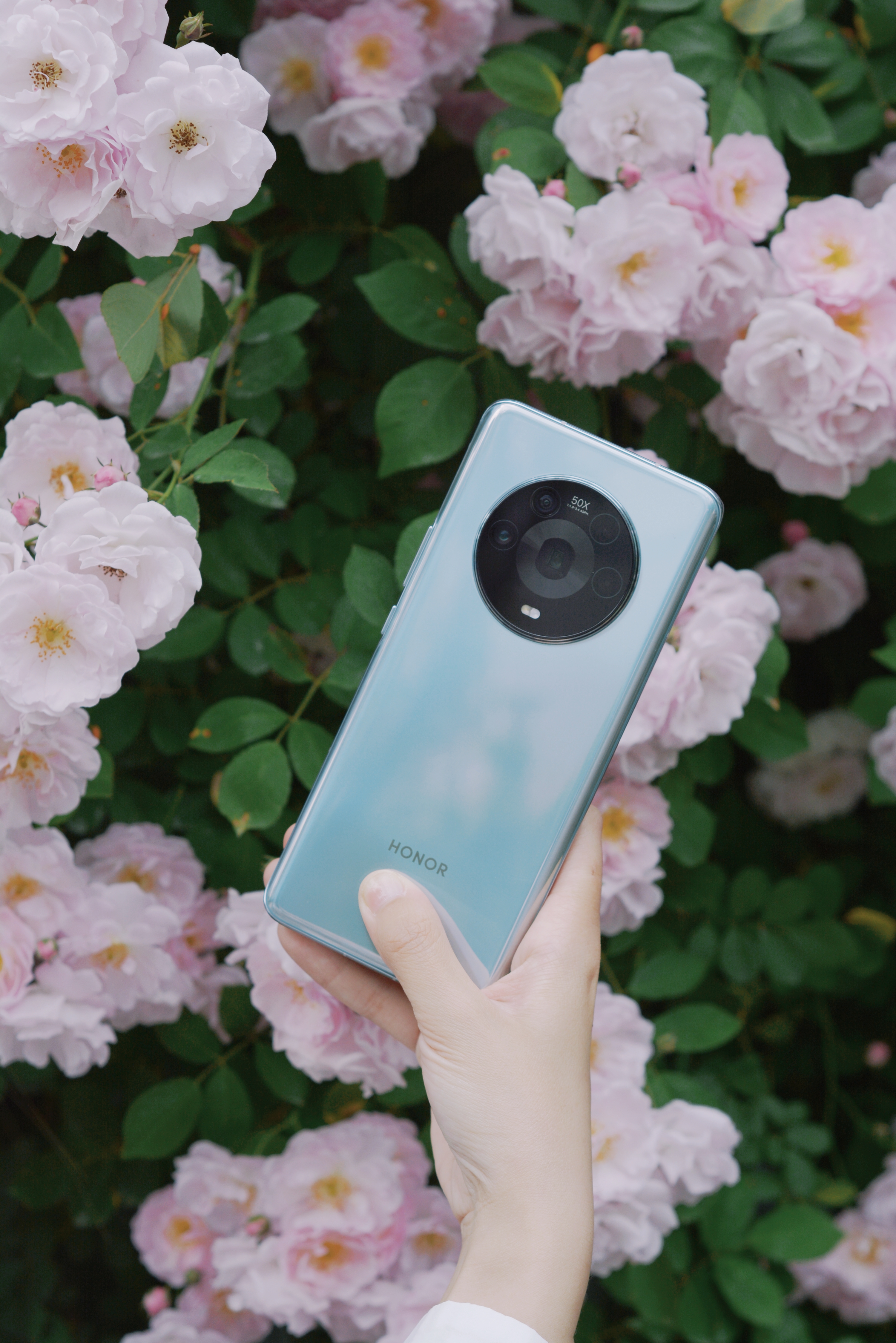 荣耀magic4瓷青和蔷薇花色的调和怎一个绝字了得