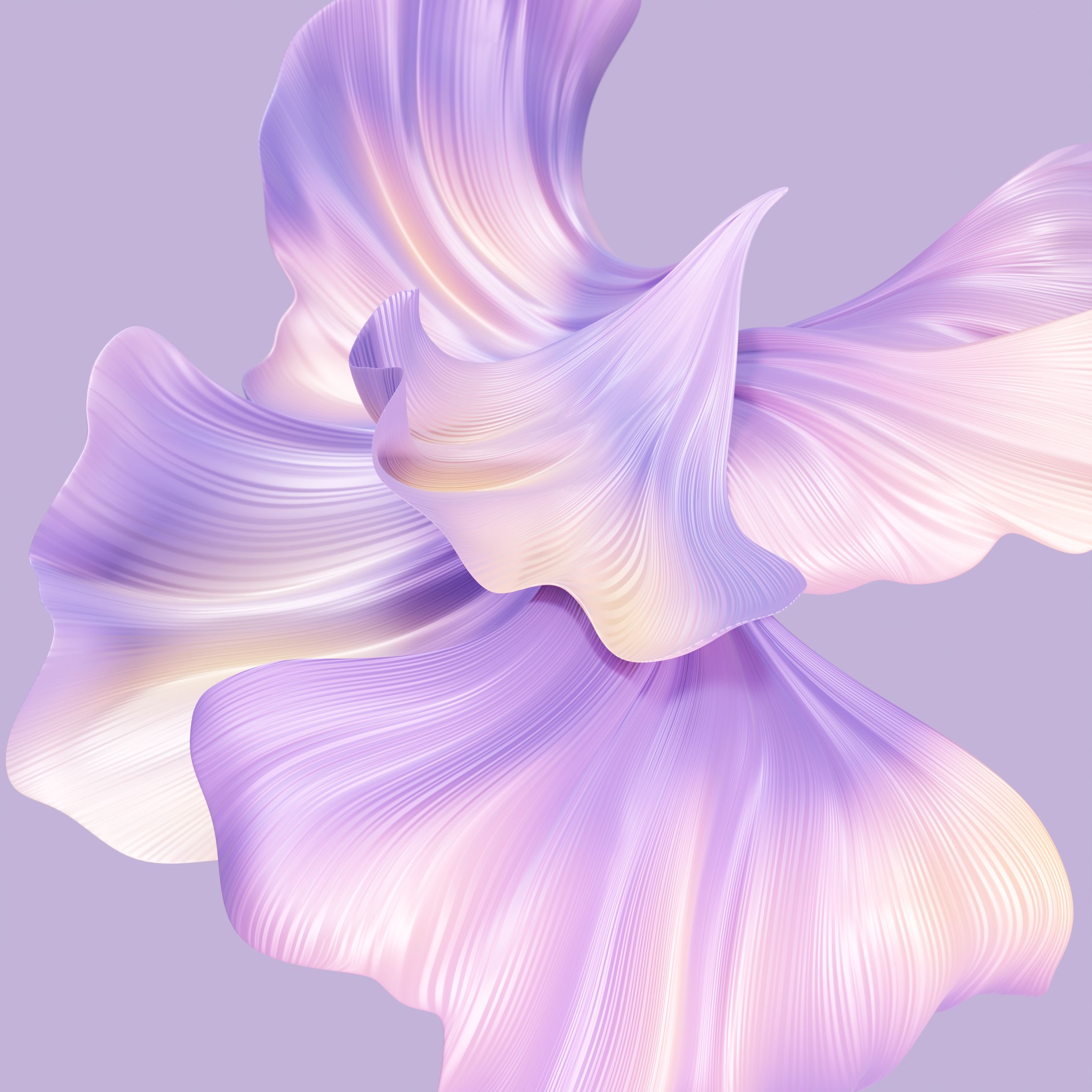 【壁纸分享】 mate xs 2折叠屏-鸢紫绮羽-荣耀俱乐部