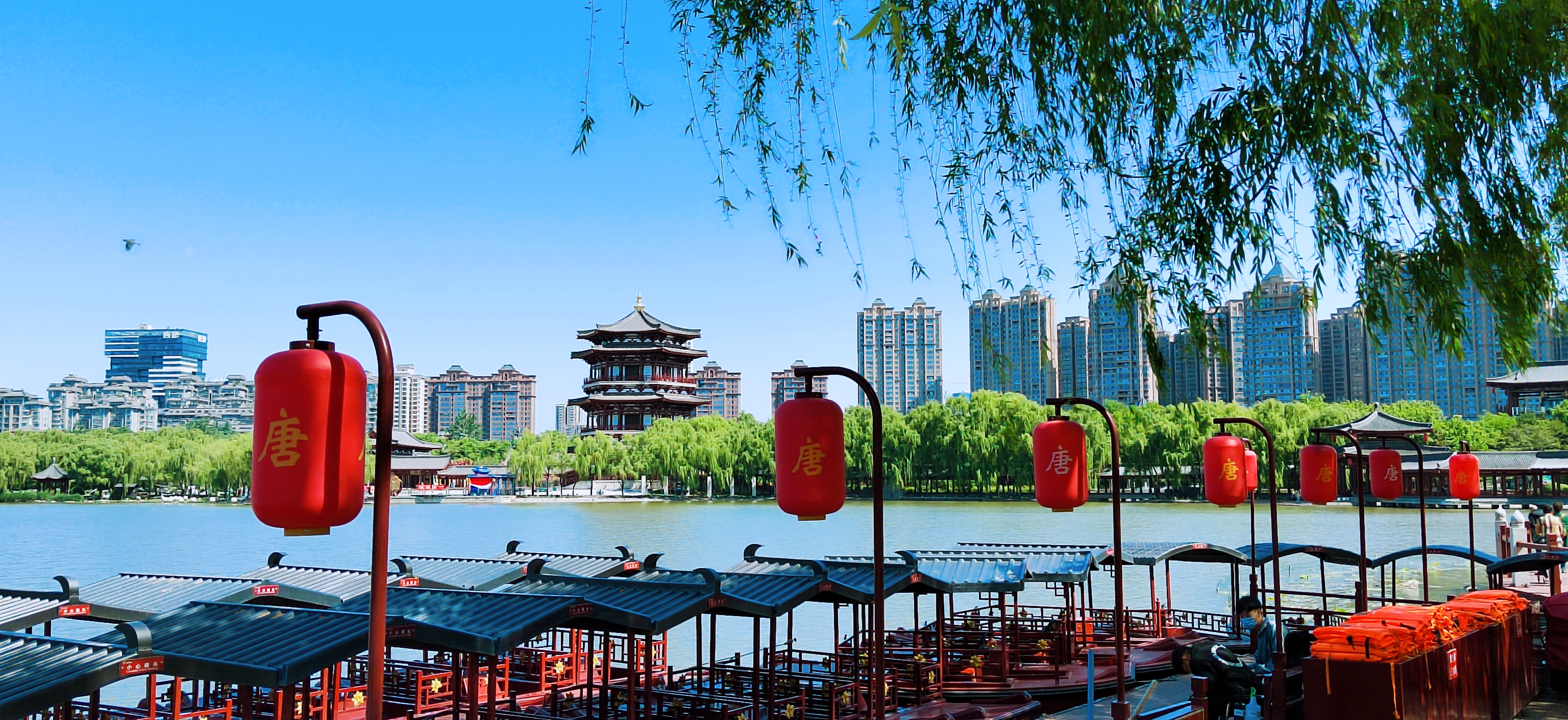 大唐遗韵芙蓉苑