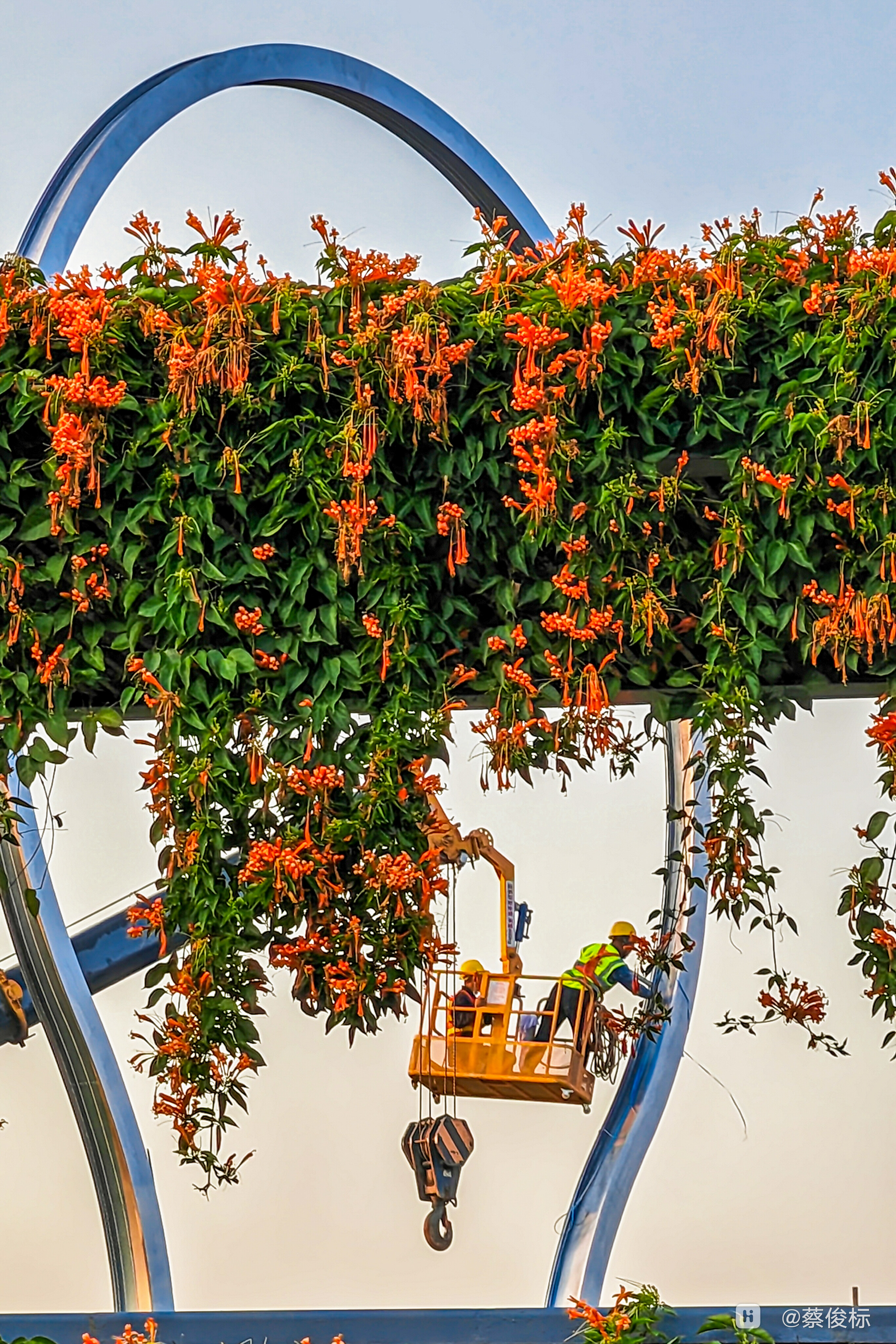 IMG_20230222_174846 (1) (1).jpg