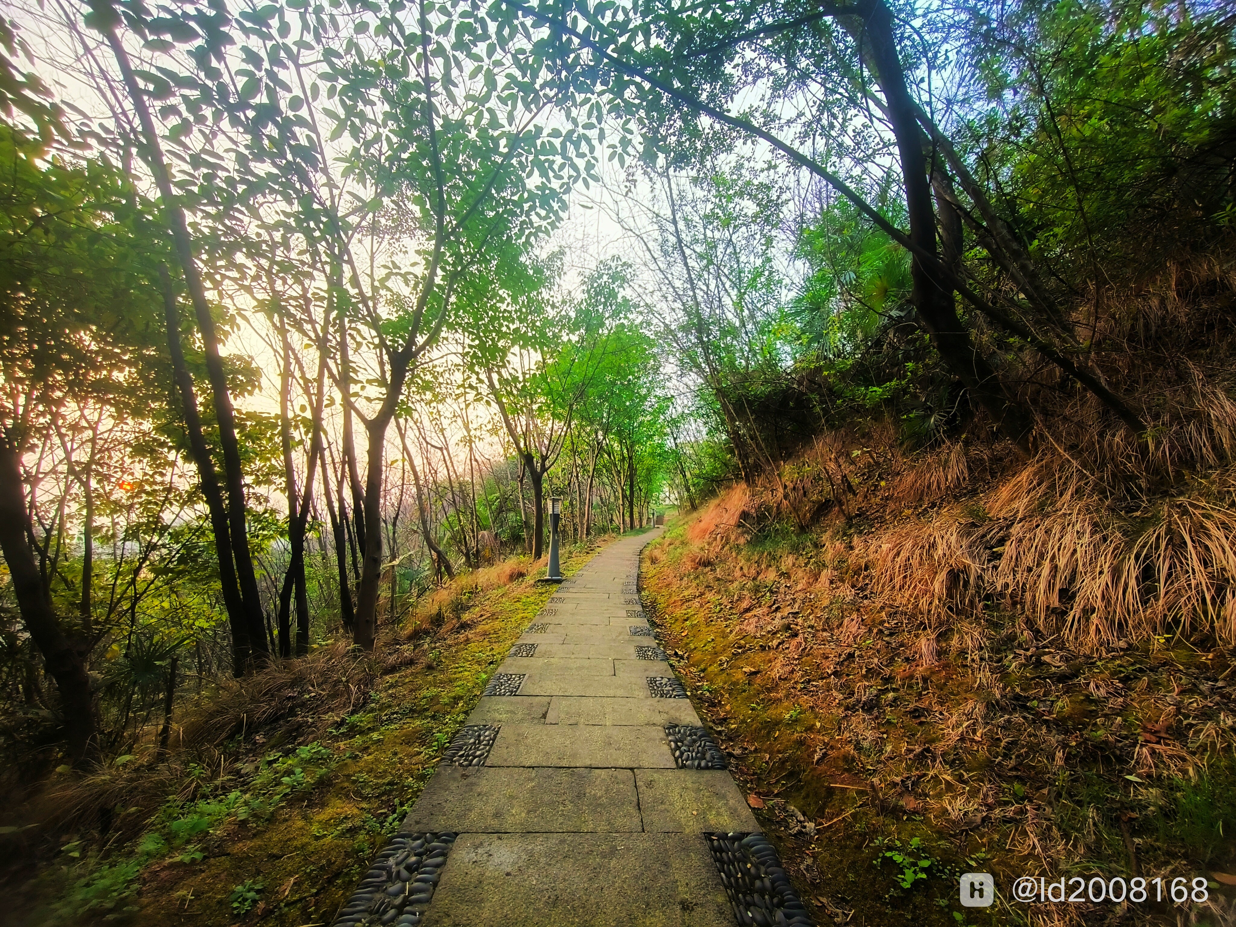 公园步道-荣耀俱乐部