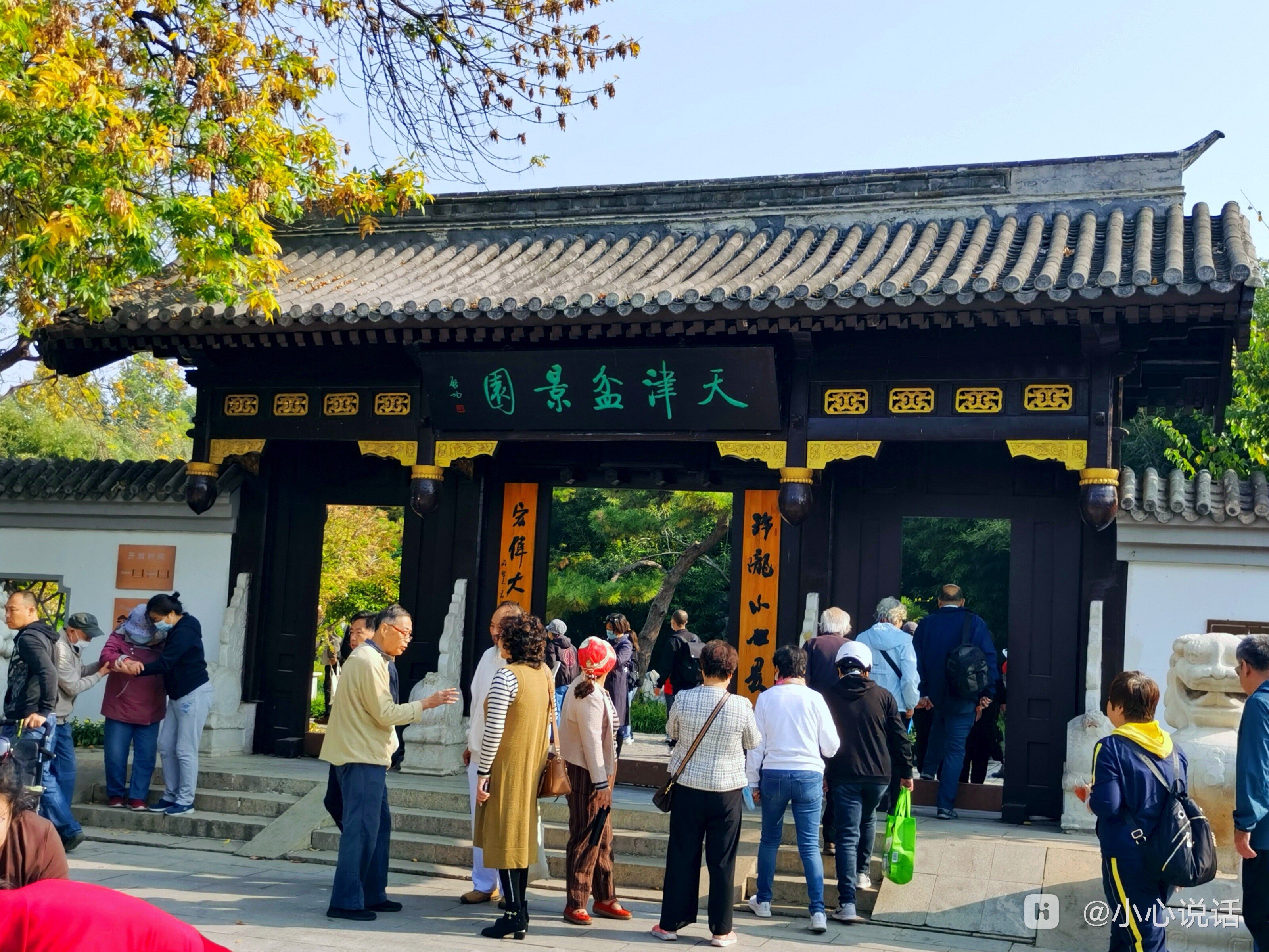 金风漫舞迎寿客东篱逸品汇龙潭